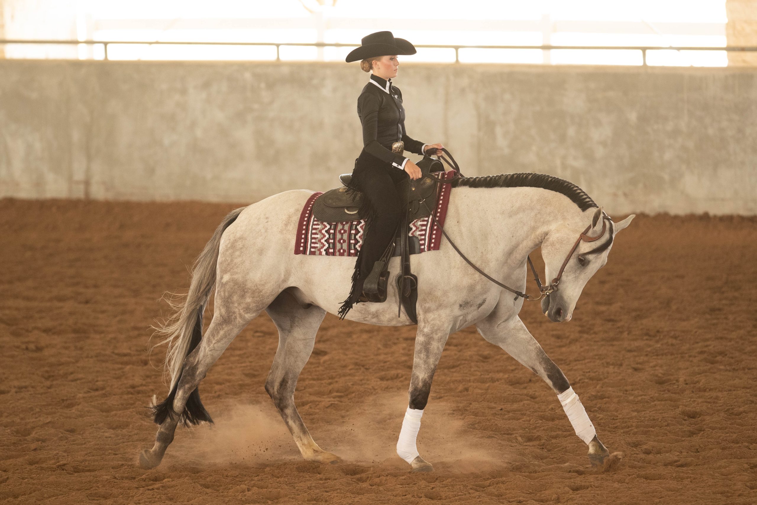 GALLERY%3A+Equestrian+Maroon+%26+White+Scrimmage