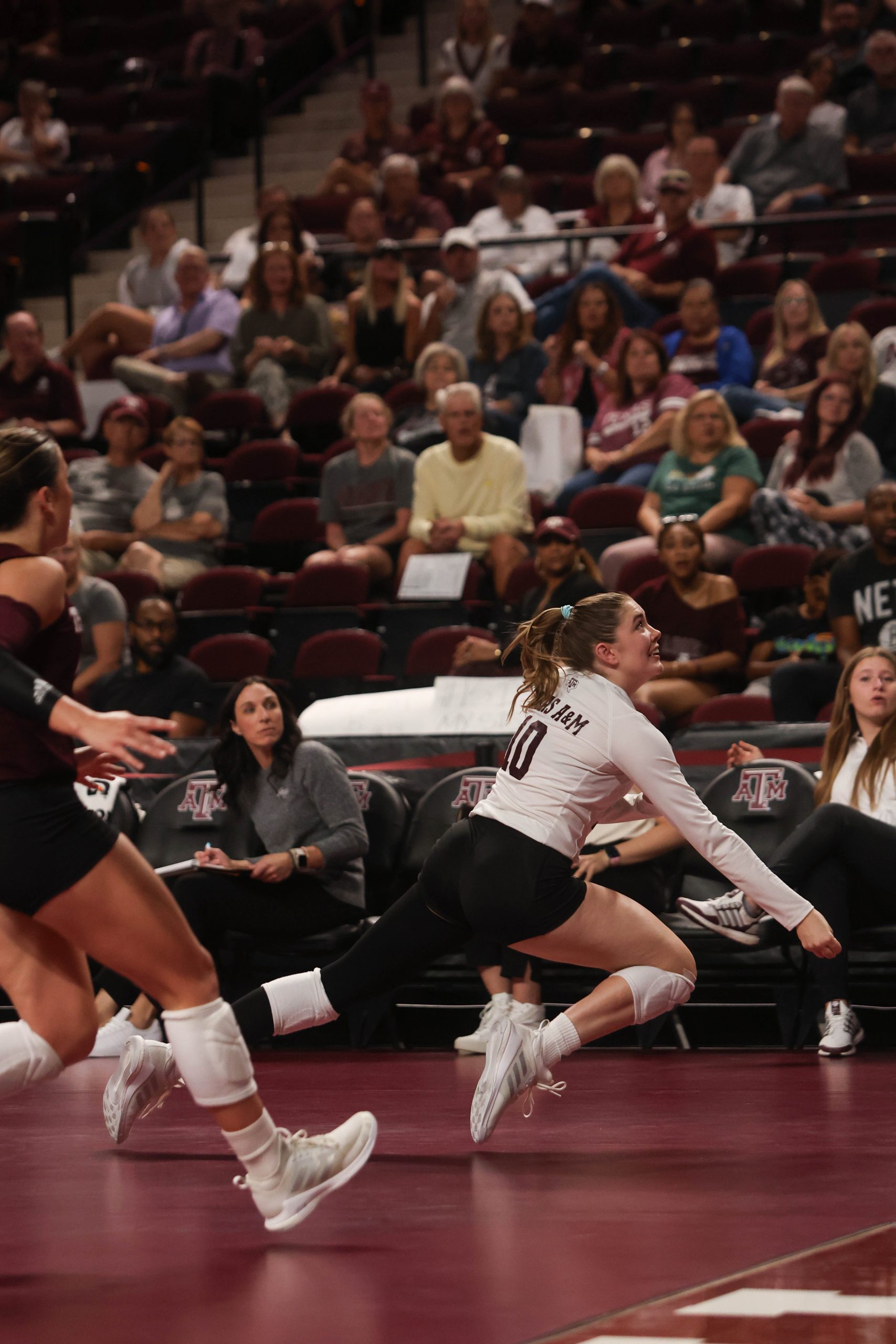 GALLERY: Volleyball vs. Mississippi State