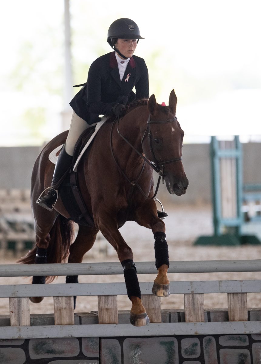 Freshman Jumping Seat rider Kate Egan rides Sparky over the fence during Texas A&amp;M's meet against Georgia on Friday, Oct. 6, 2023 at Hildebrand Equine Complex (Katelynn Ivy/The Battalion).