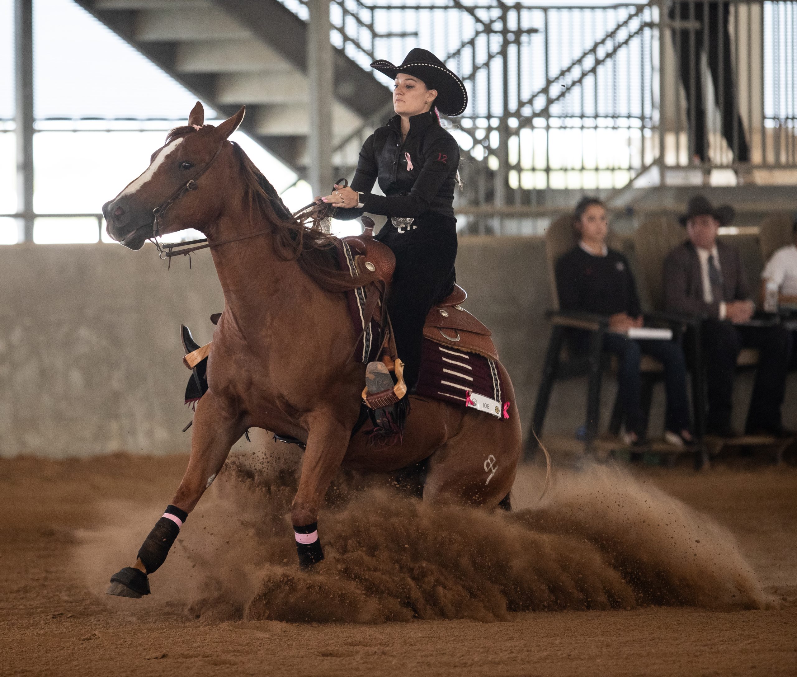 GALLERY: Equestrian vs. Georgia