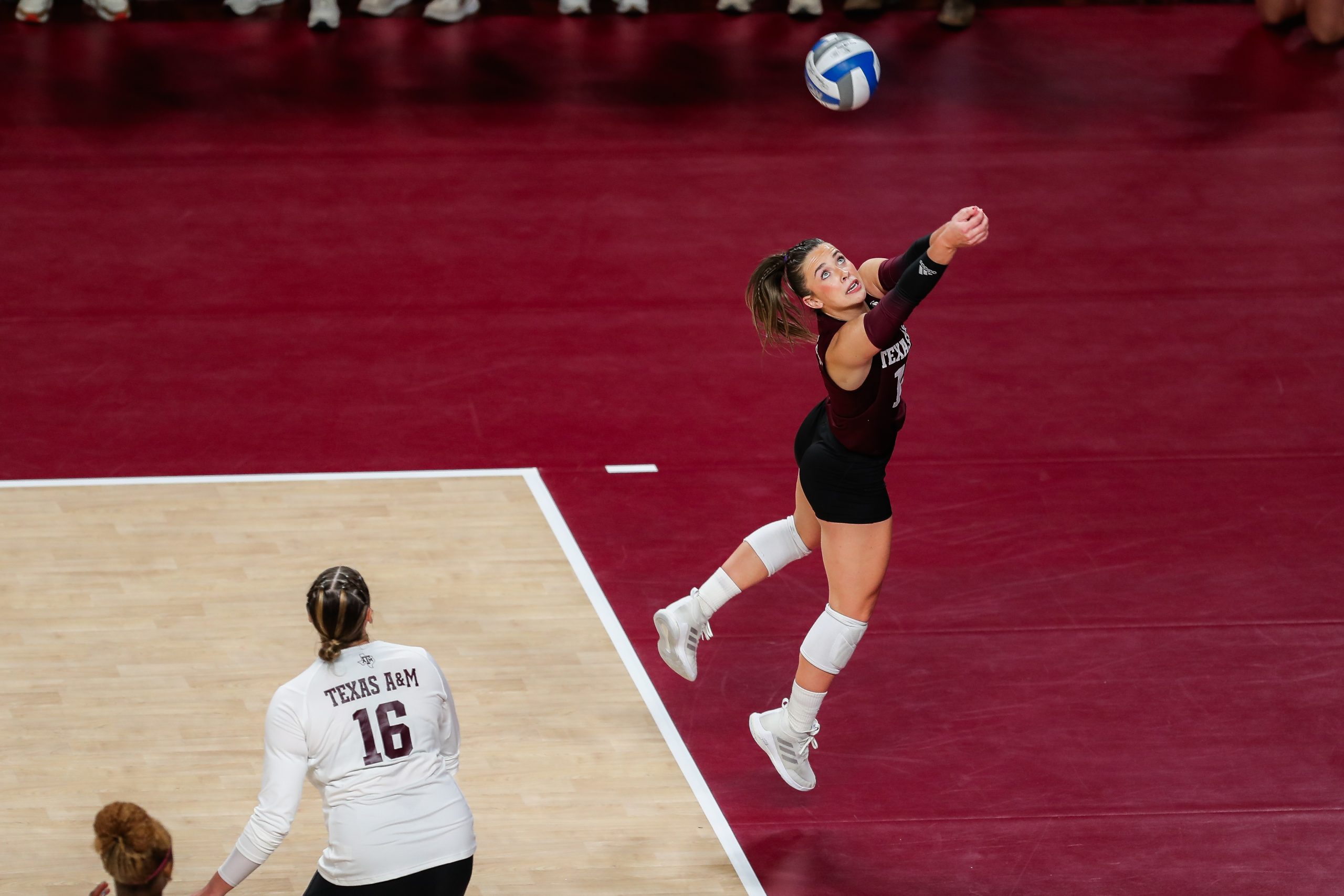 GALLERY%3A+Volleyball+vs.+Florida