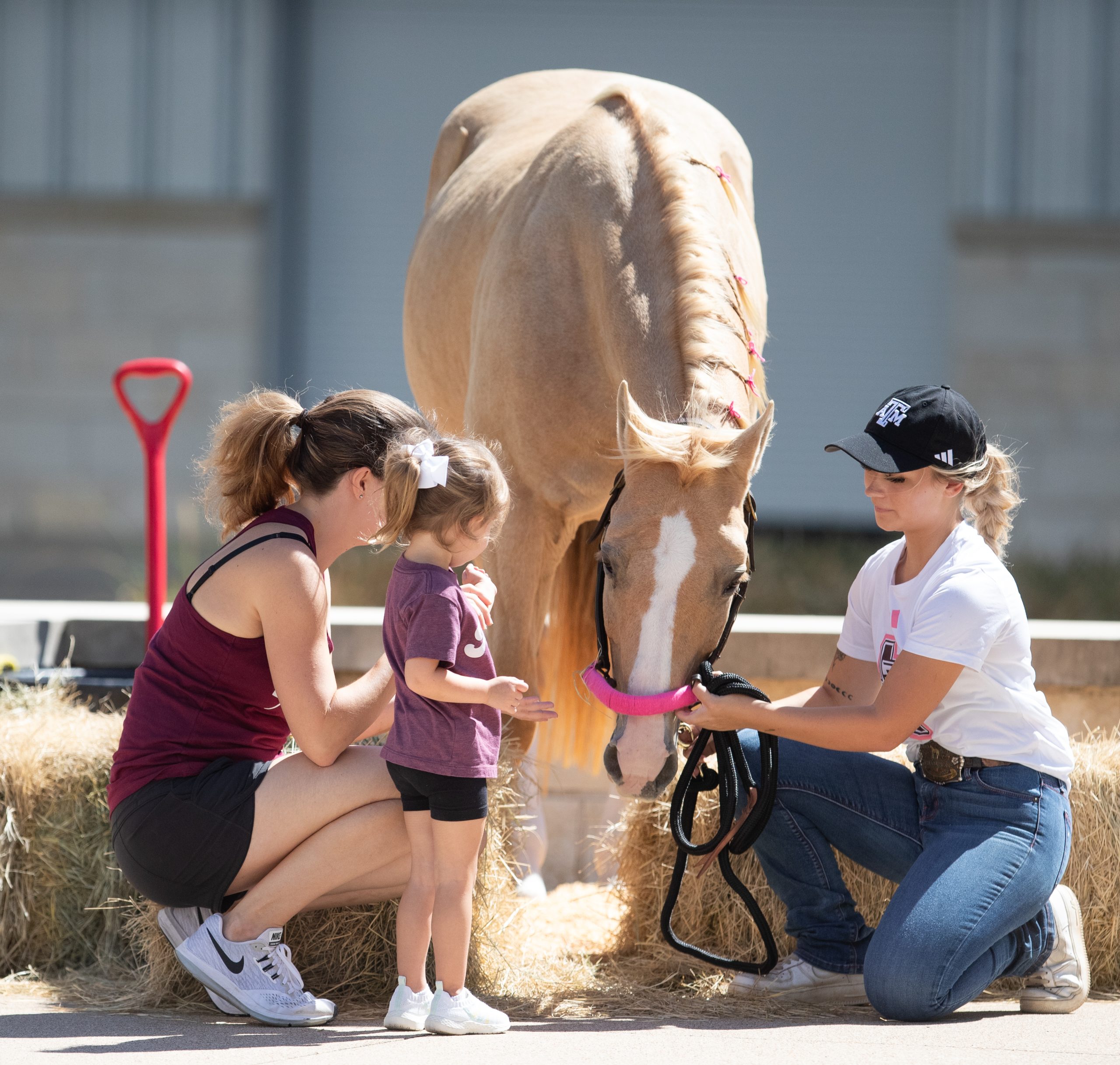 GALLERY: Equestrian vs. Georgia