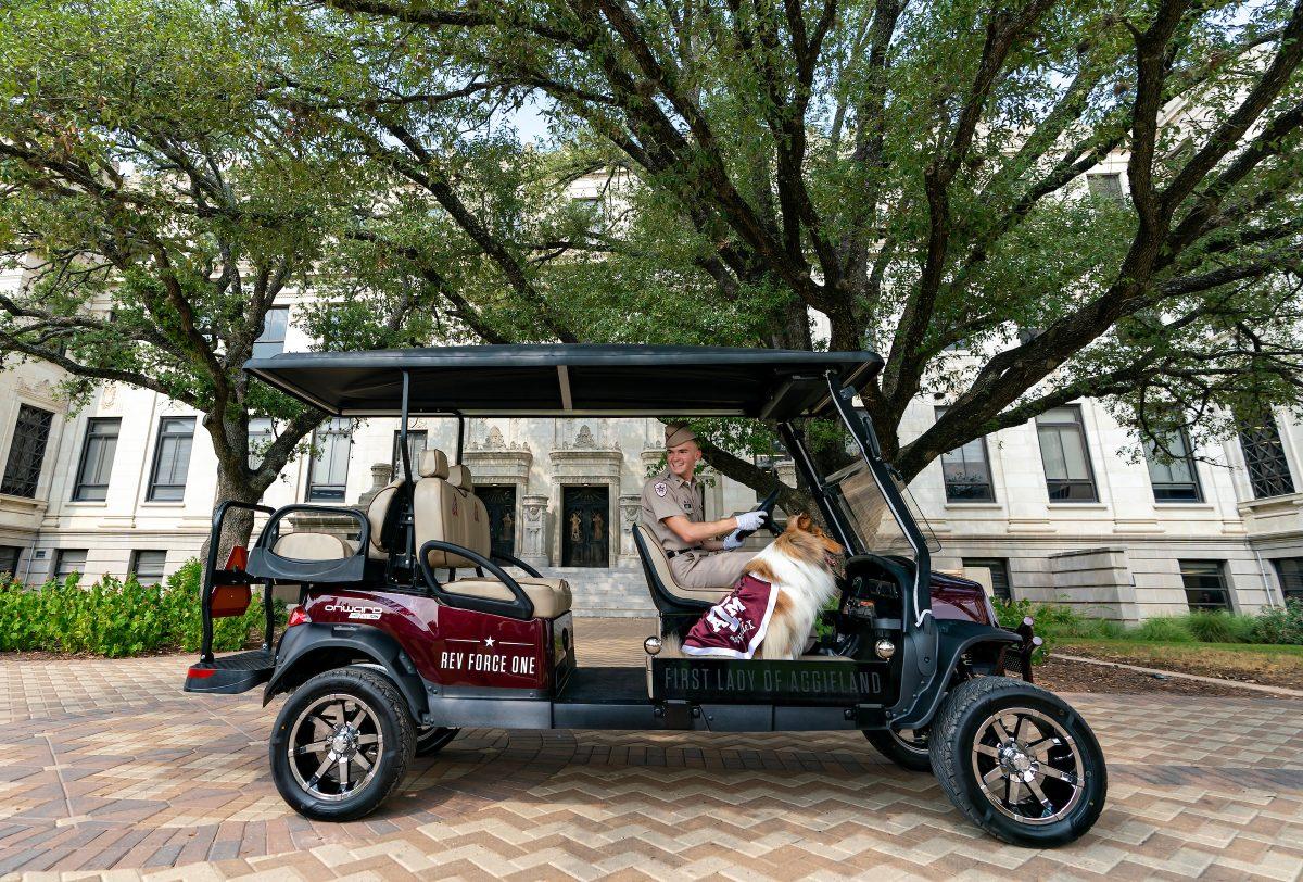 Reveille and her handler, Theodore, now travel across campus in a custom golf cart equipped with air conditioning, a seat for Reveille, a custom license plate and a horn that plays the Aggie war hymn. 