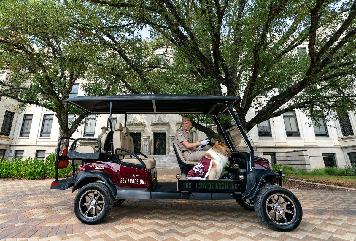 Reveille and her handler, Theodore, now travel across campus in a custom golf cart equipped with air conditioning, a seat for Reveille, a custom license plate and a horn that plays the Aggie war hymn.&#160;