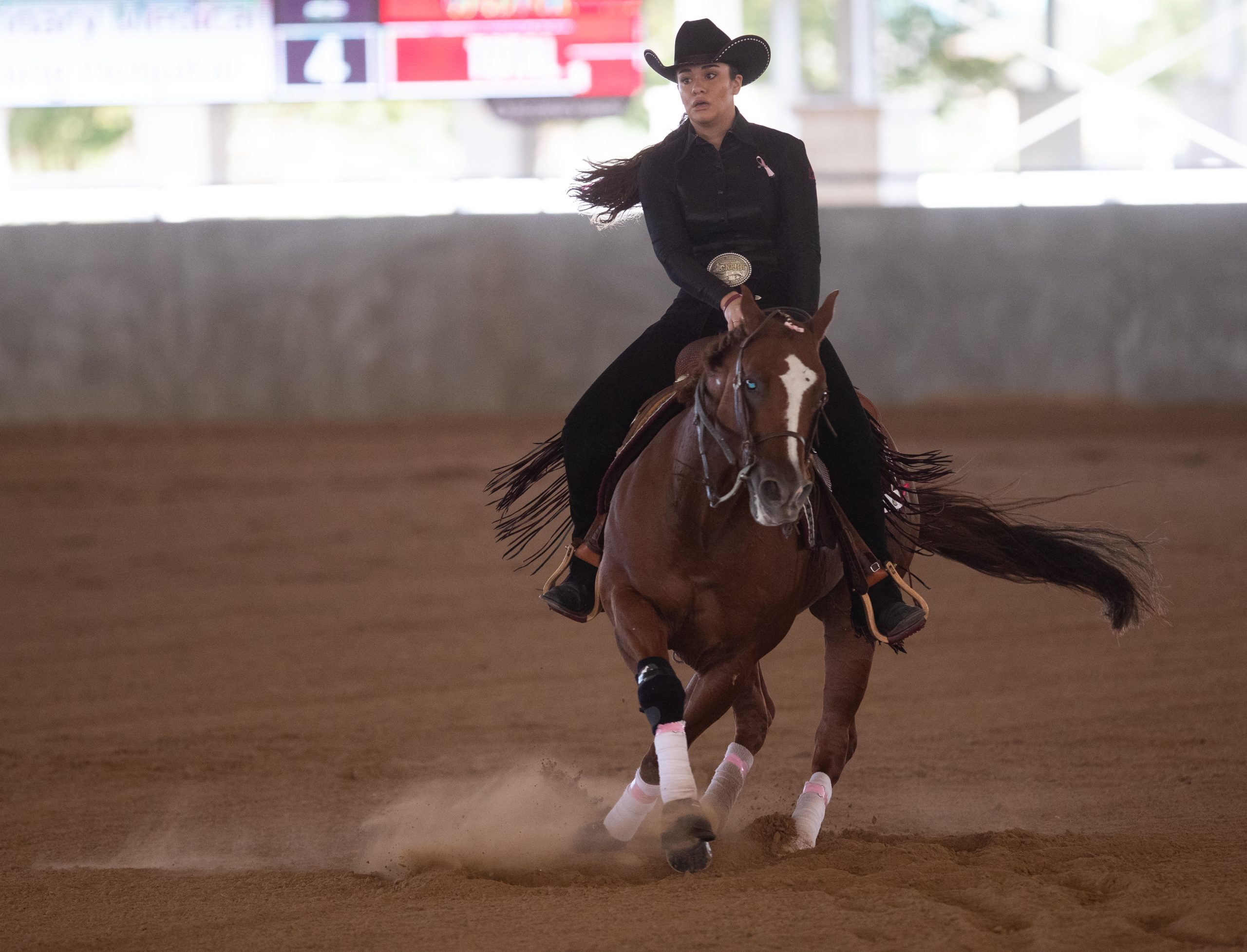 GALLERY: Equestrian vs. Georgia