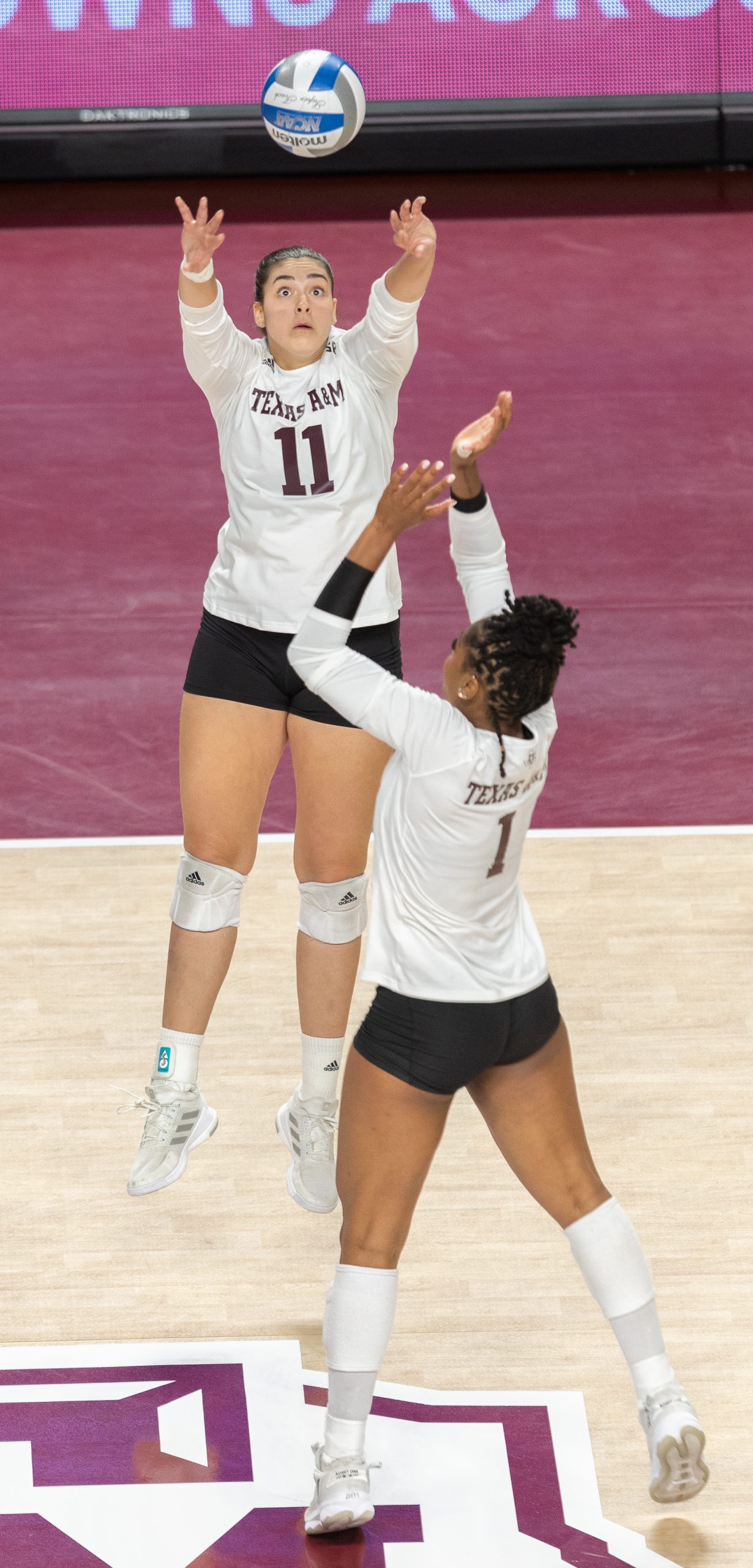 GALLERY%3A+Volleyball+vs.+Florida