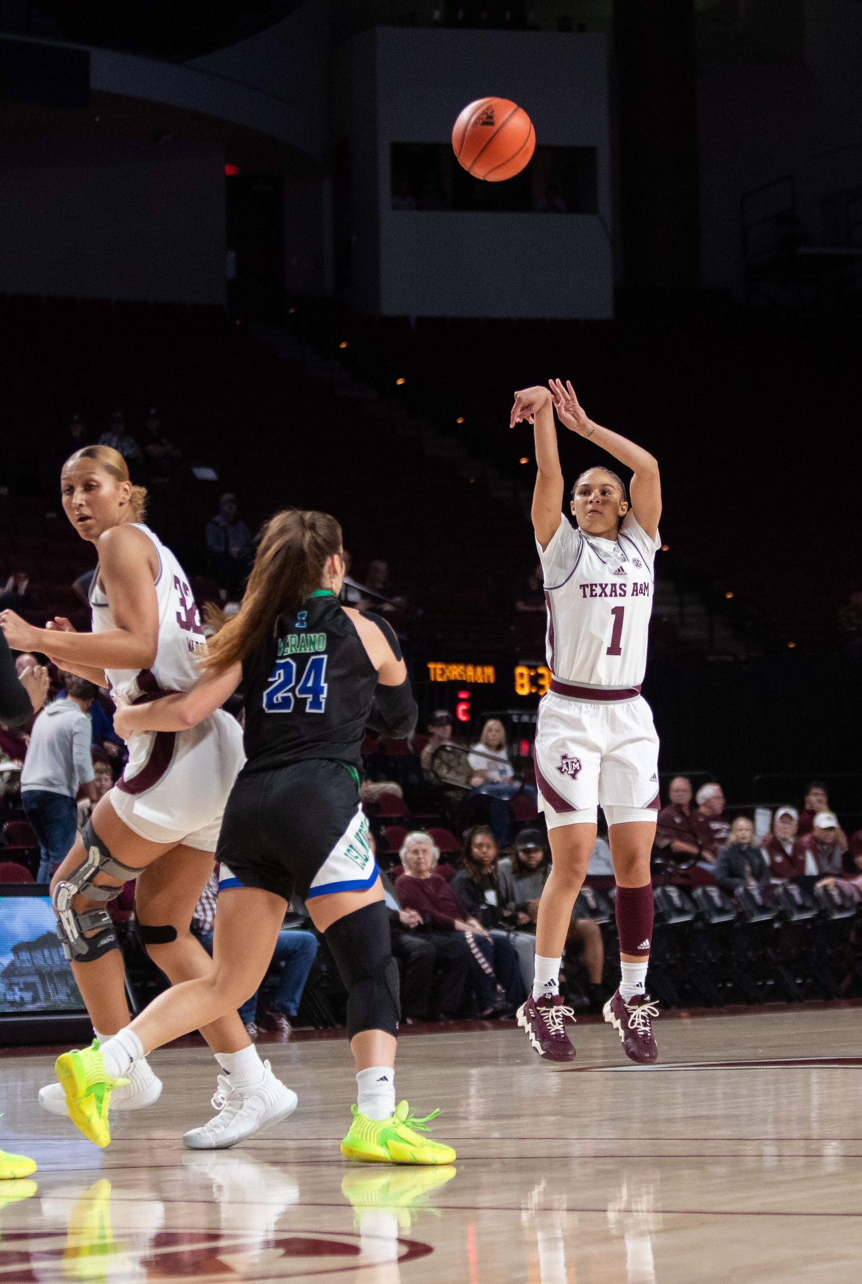 GALLERY: Women's Basketball vs. A&M-Corpus Christi