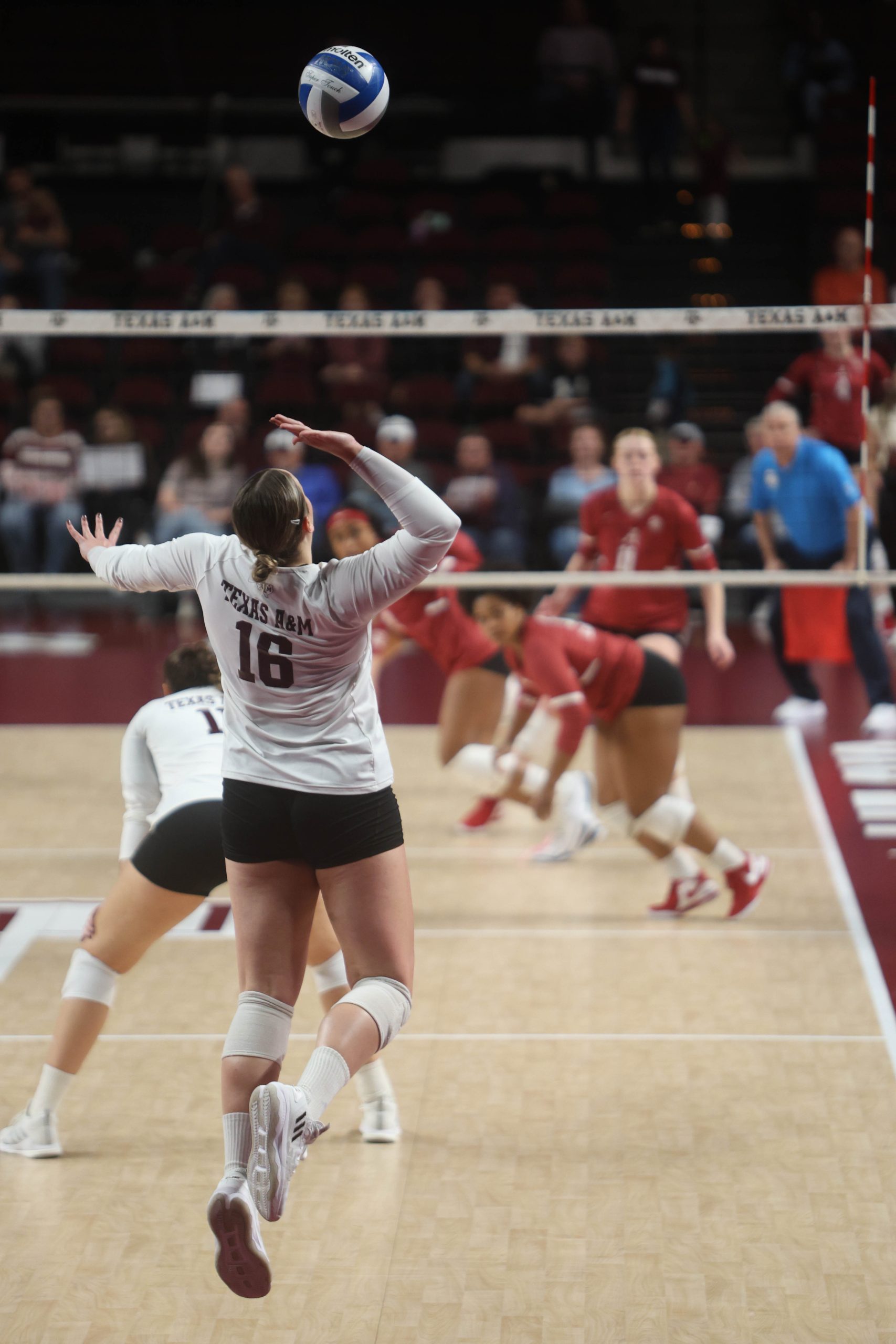 Volleyball vs. Alabama