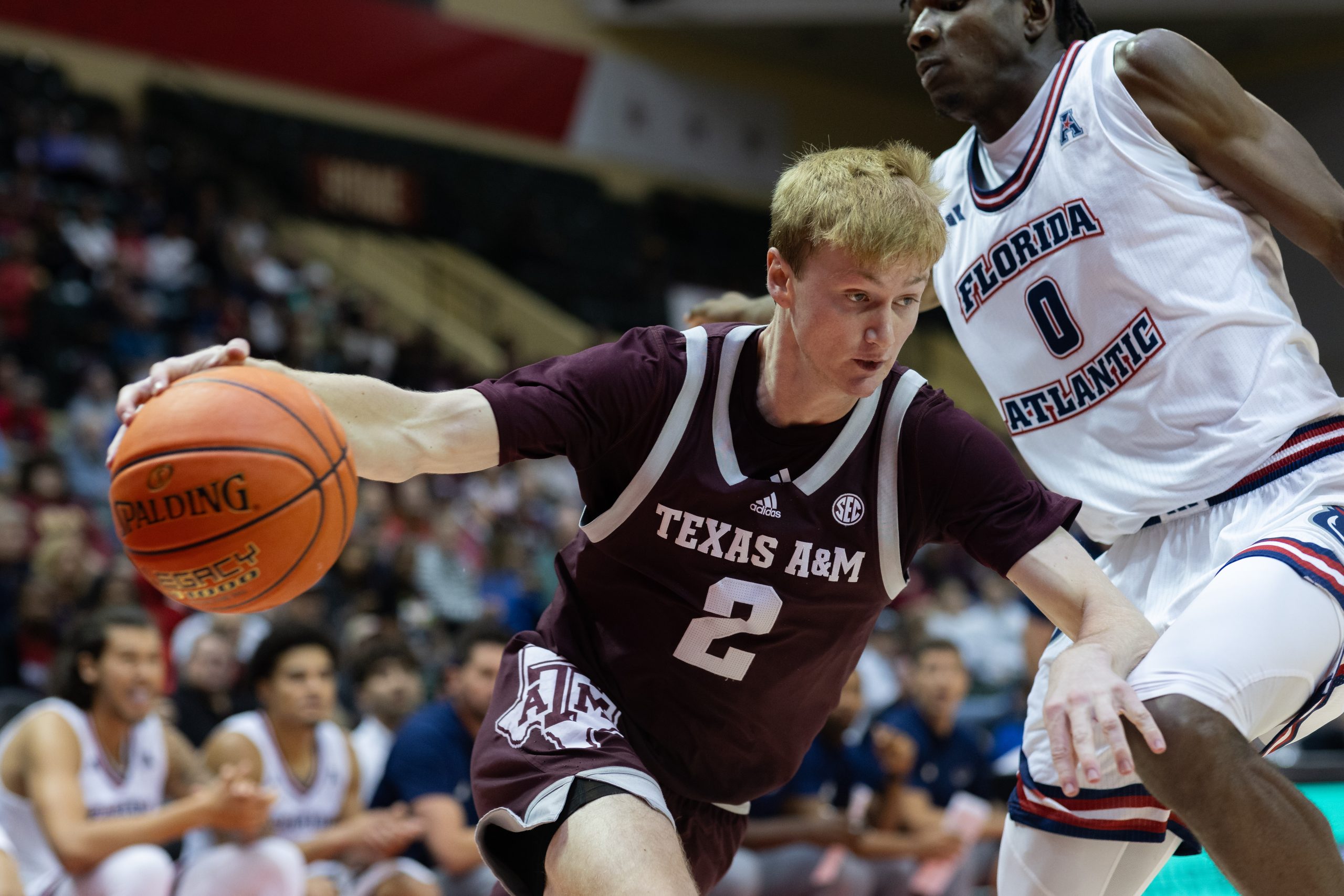 GALLERY: Men's Basketball vs FAU