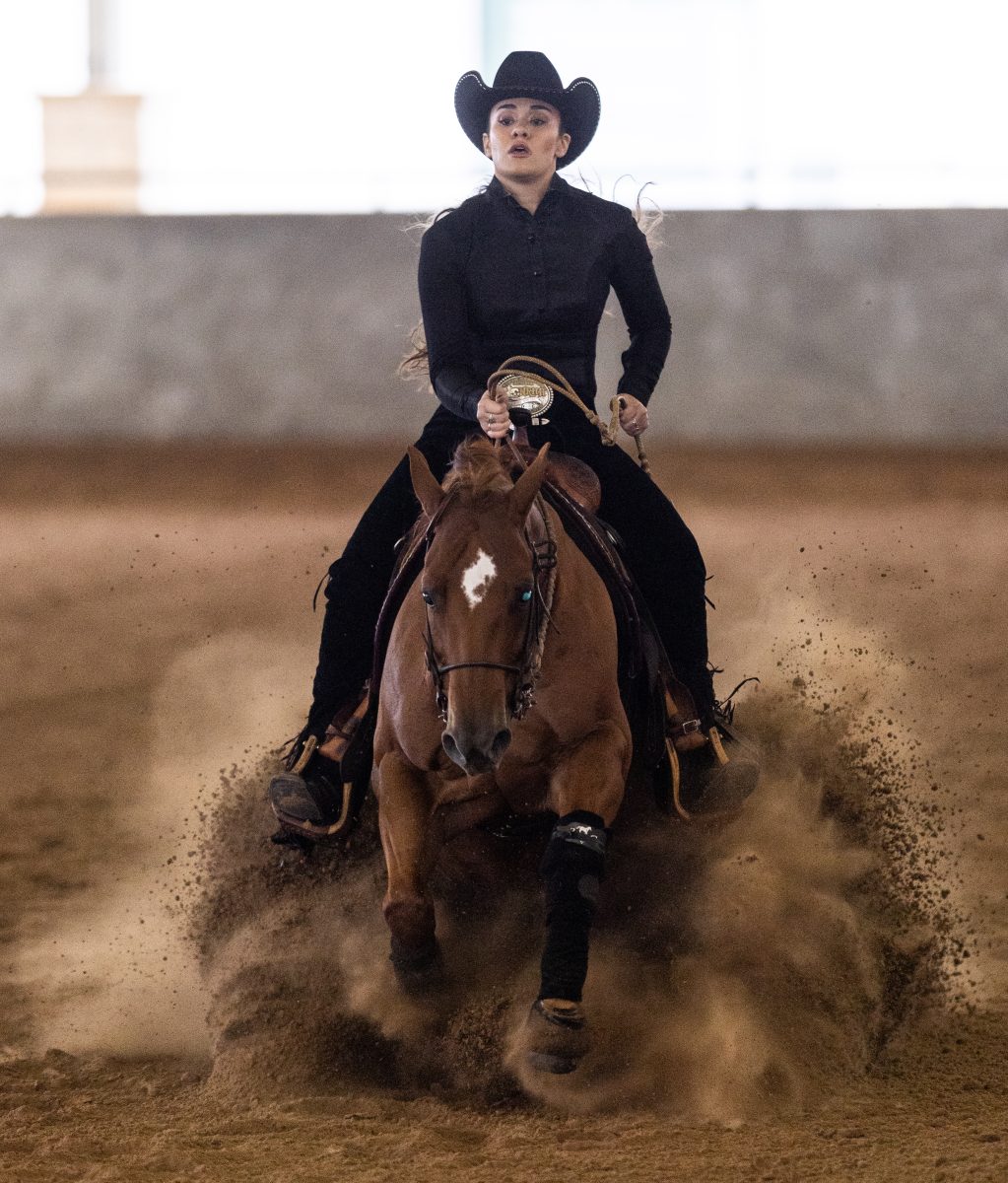 Junior Reining rider Mattie Gustin rides stops the horseduring Texas A&Ms meet against Auburn on Friday, Nov. 10, 2023 at Hildebrand Equine Complex (Katelynn Ivy/The Battalion).