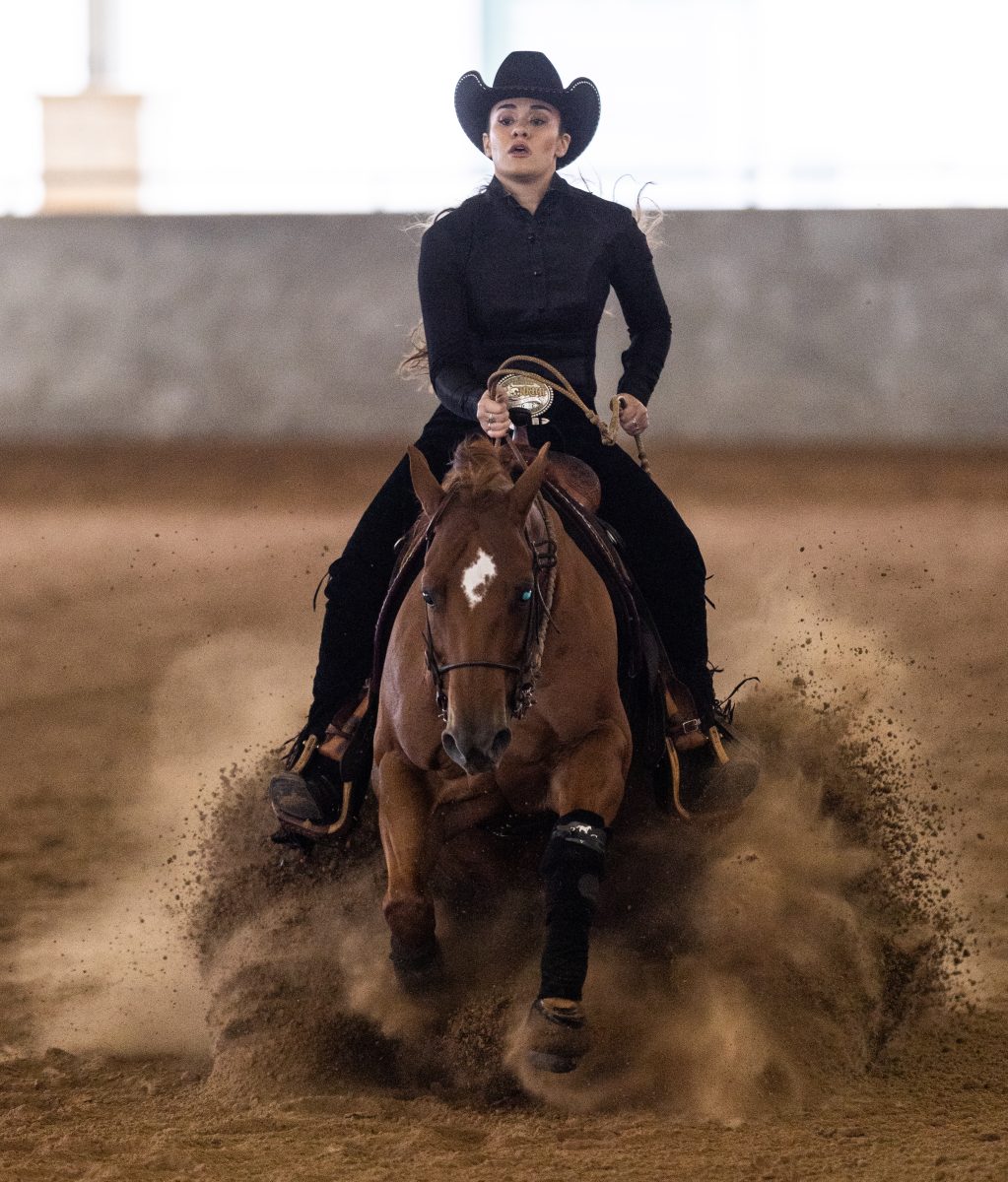 Junior Reining rider Mattie Gustin rides stops the horseduring Texas A&amp;M's meet against Auburn on Friday, Nov. 10, 2023 at Hildebrand Equine Complex (Katelynn Ivy/The Battalion).