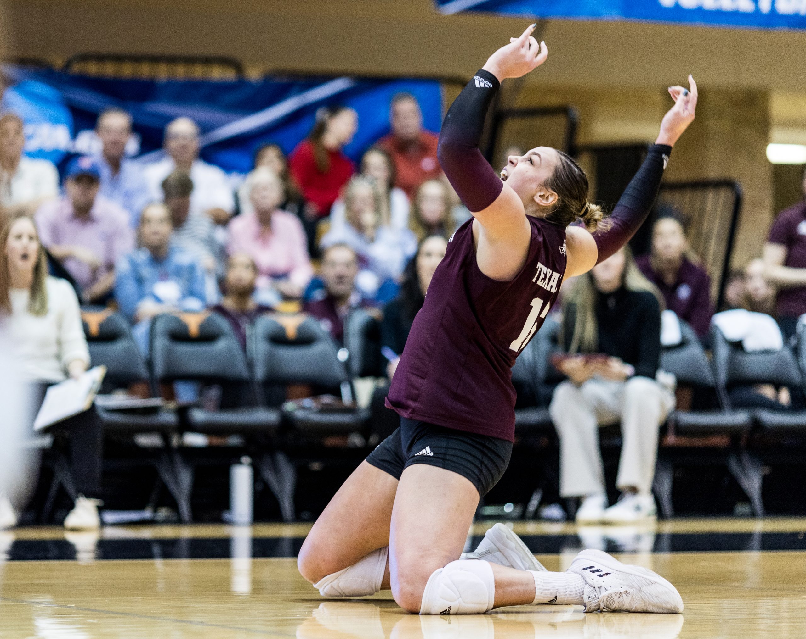 GALLERY%3A+Volleyball+vs.+Texas