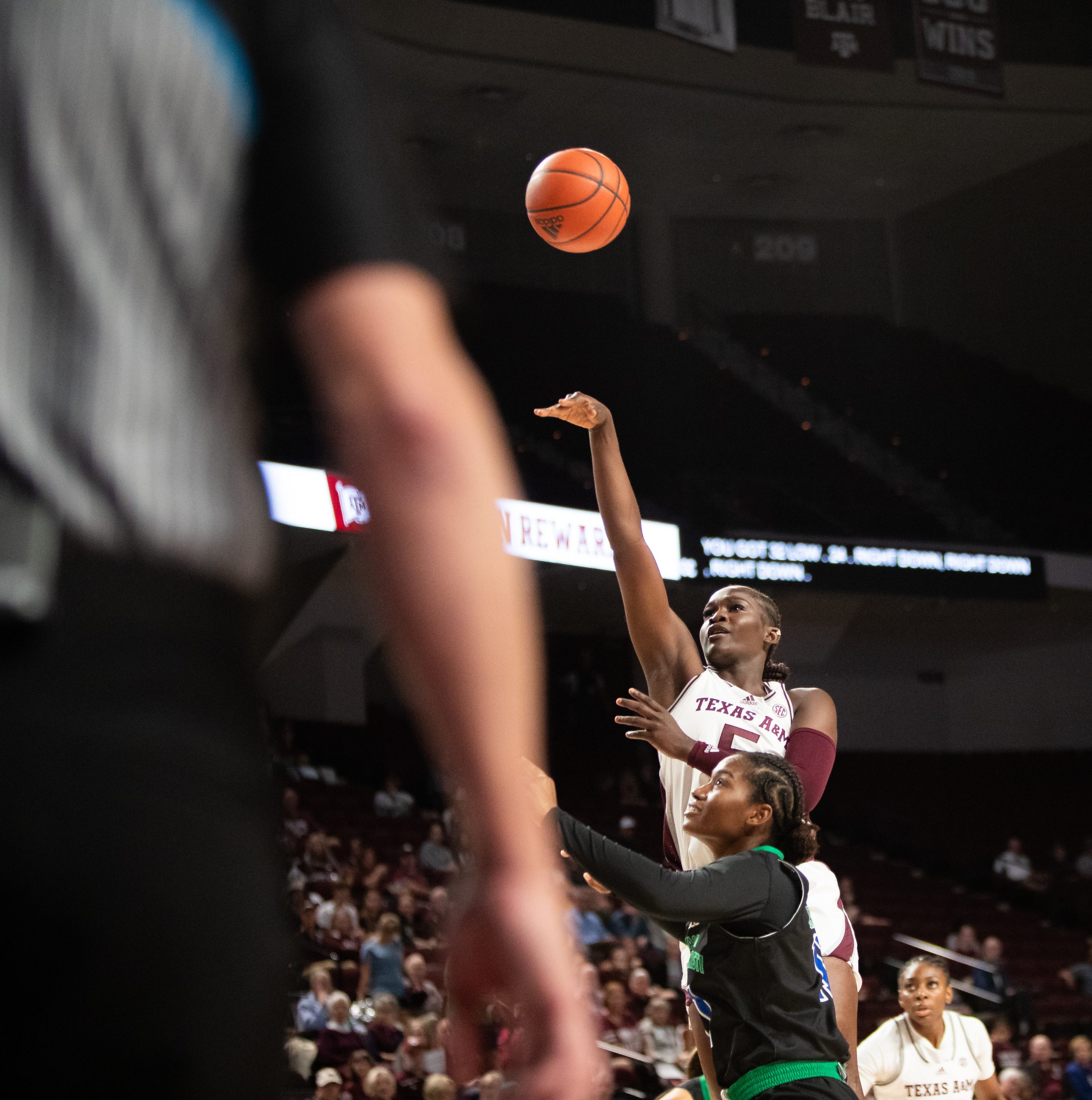 GALLERY: Women's Basketball vs. A&M-Corpus Christi