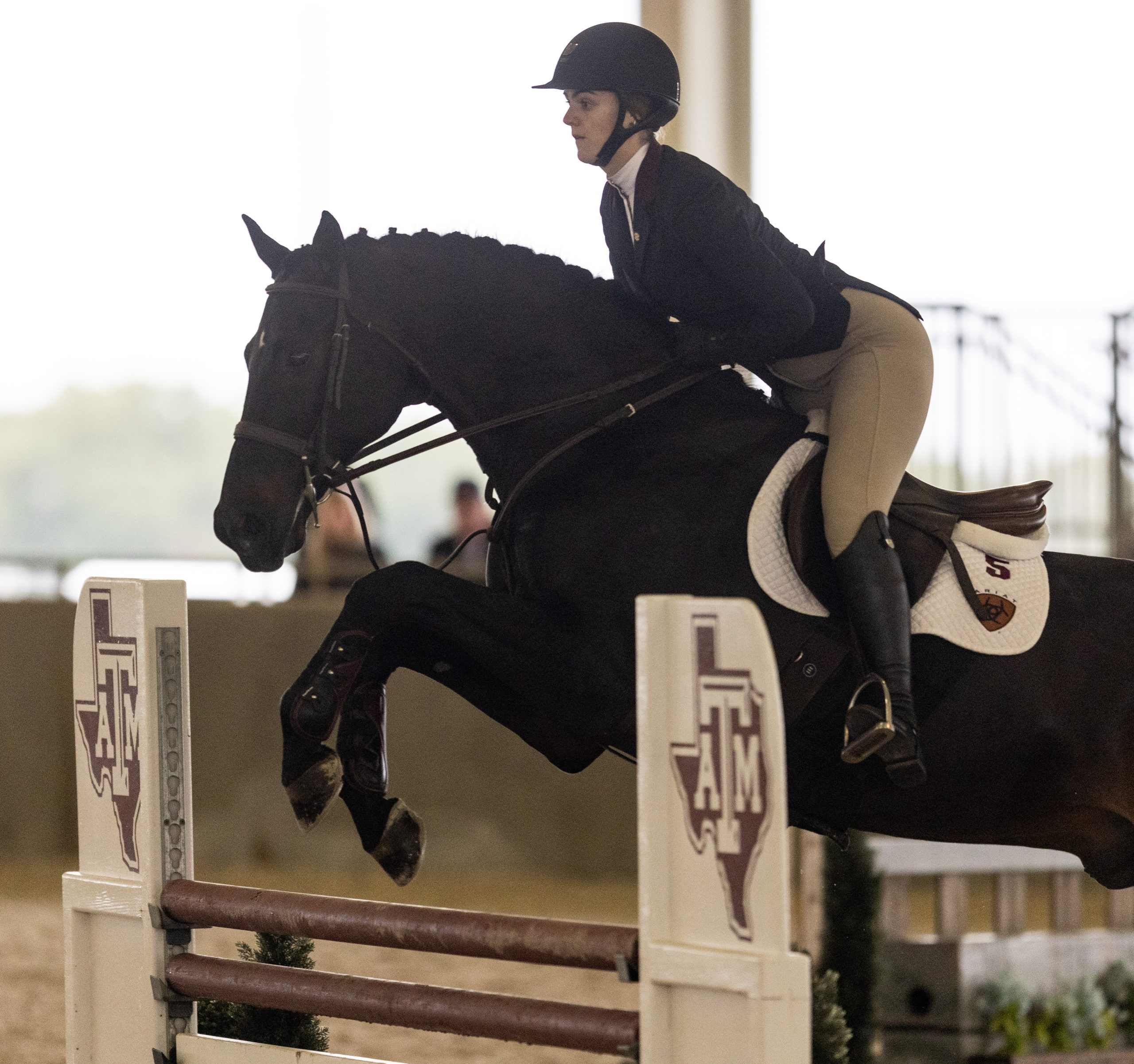 GALLERY: Equestrian vs. Auburn