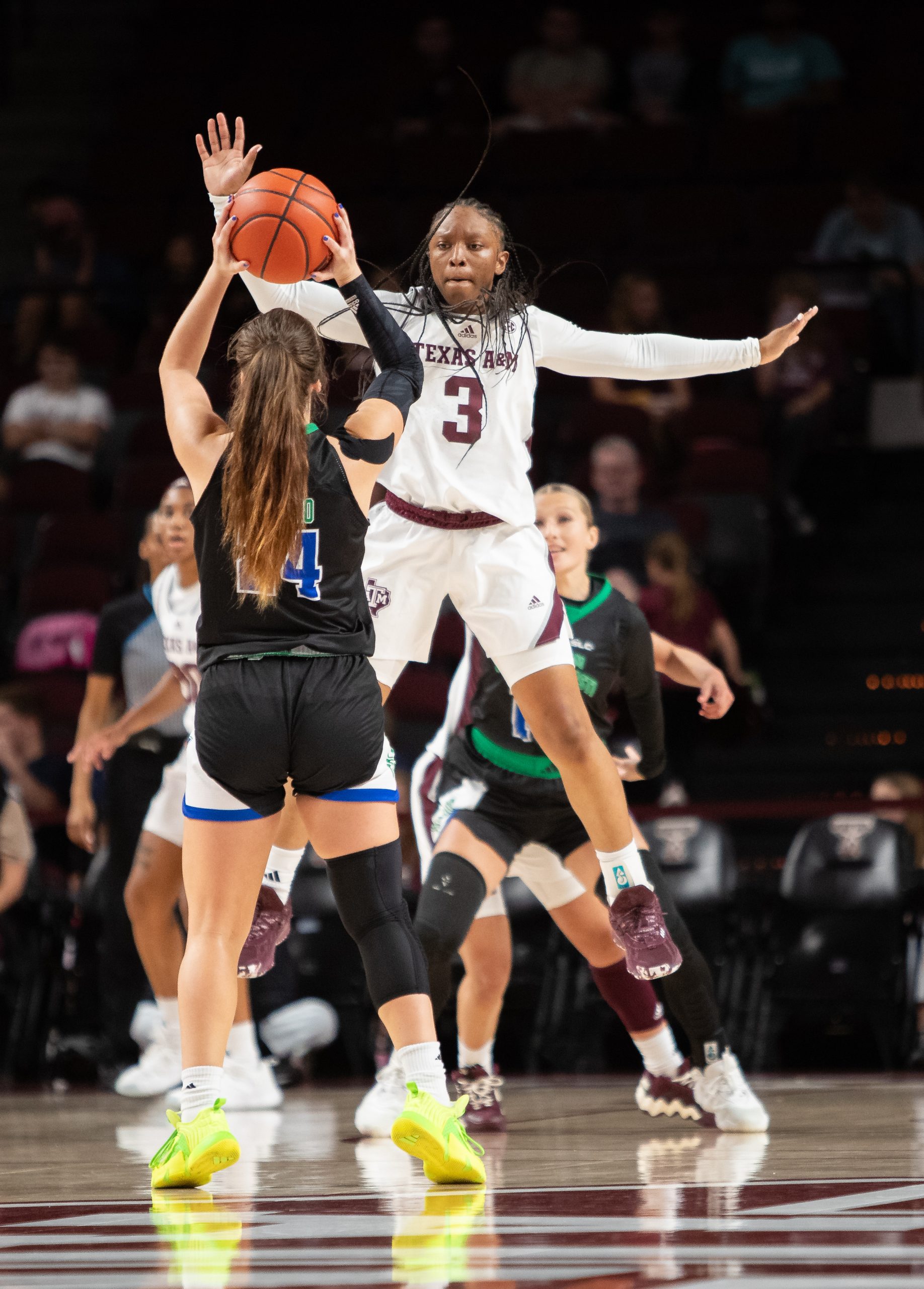 GALLERY: Women's Basketball vs. A&M-Corpus Christi