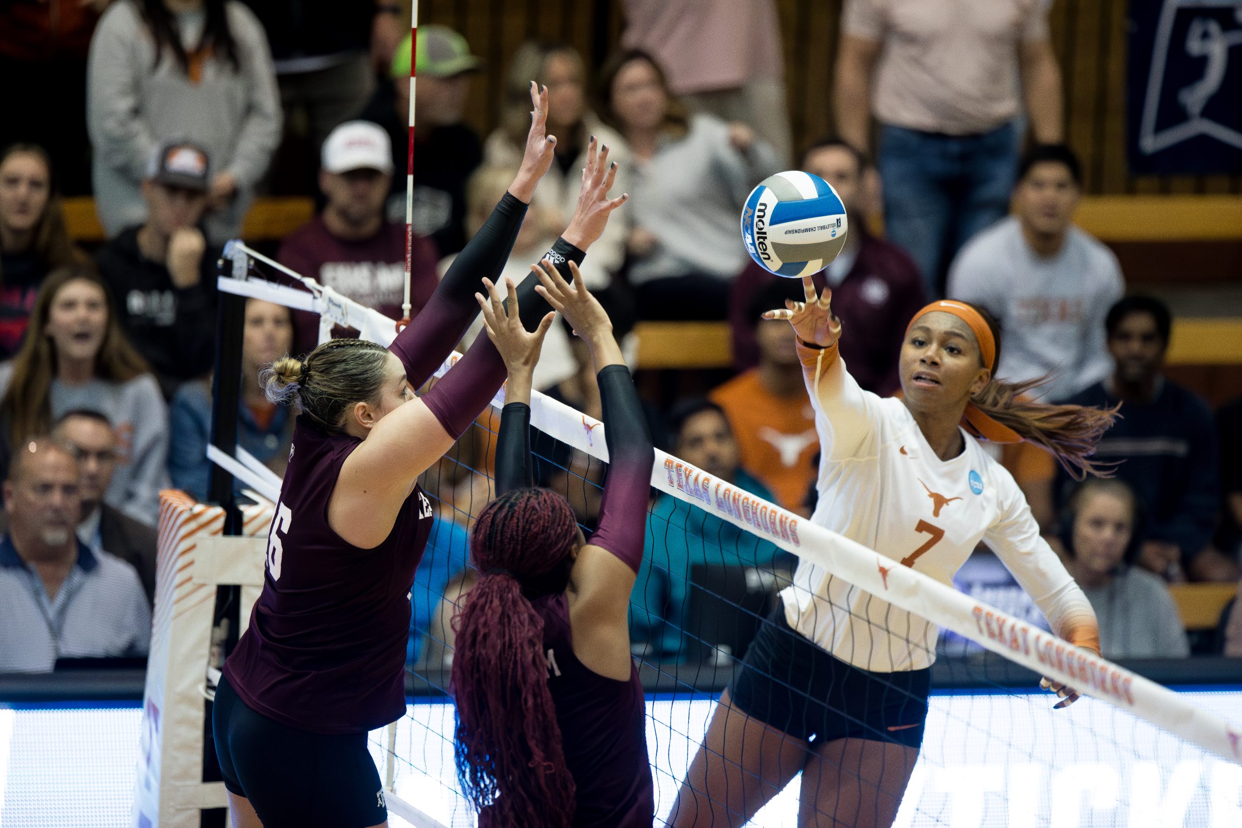 GALLERY%3A+Volleyball+vs.+Texas