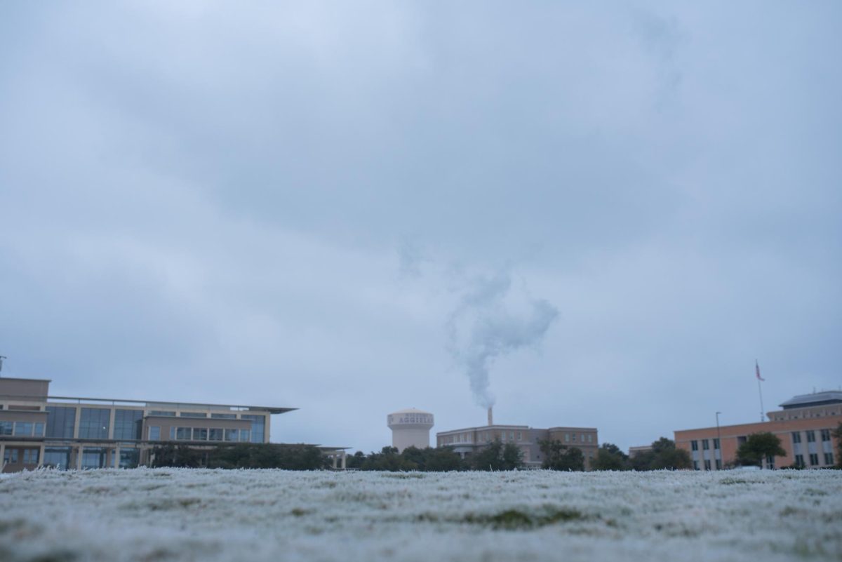 Frost covered Simpson Drill Field on Monday, Jan. 13, 2023. (Ishika Samant/The Battalion)