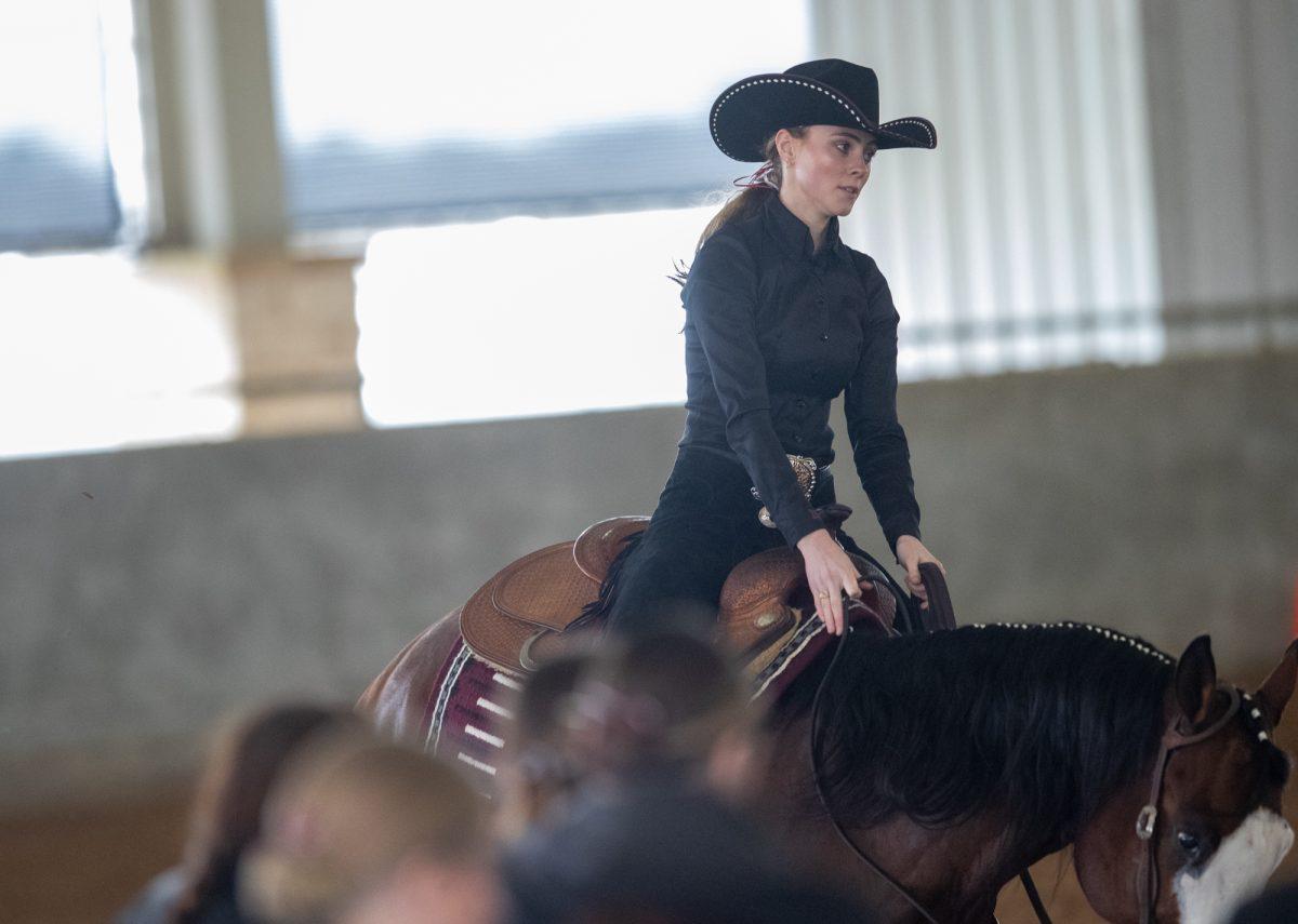 Texas A&M rider Keesa Luers during Texas A&Ms match against South Carolina on Saturday, Feb. 10, 2024, at Hildebrand Equestrian Center. (Adriano Espinosa/The Battalion)