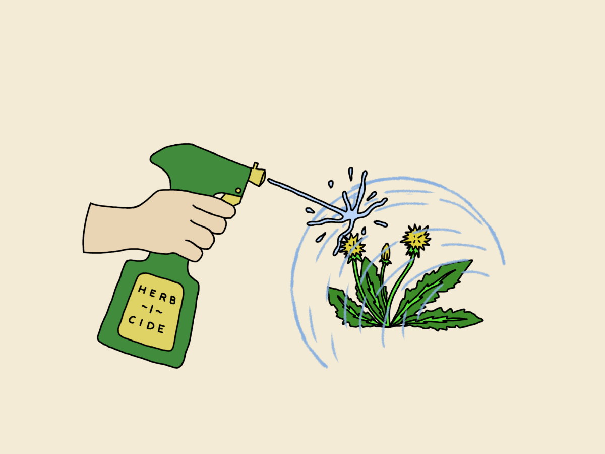 Weed resistance is becoming a bigger problem for farmers. A&M professors offer insight on how to work around this obstacle. (Graphic by Ethan Mattson/The Battalion)