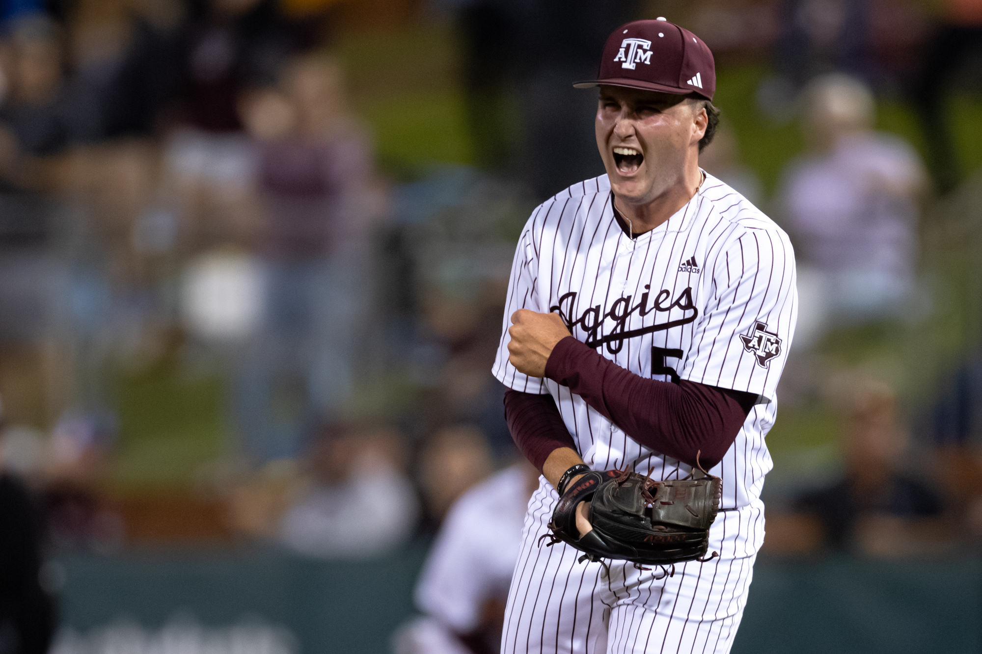 GALLERY: Baseball vs. Arkansas