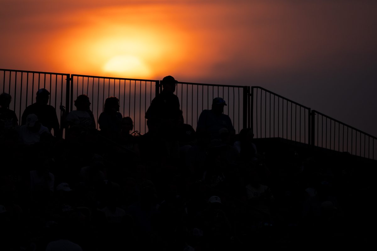 Fans during Texas A&M’s game against Rice at Olsen Field on Tuesday, May 7, 2024. (Chris Swann/The Battalion)