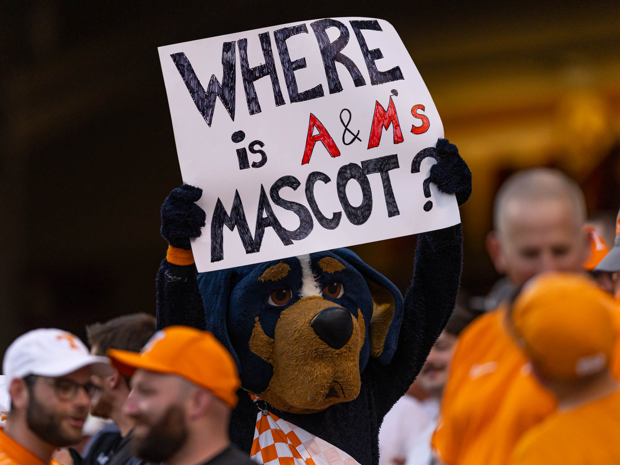 GALLERY: Baseball vs. Tennessee (NCAA Men's College World Series)