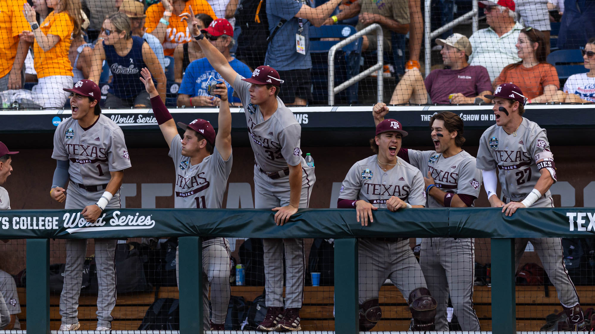 GALLERY: Baseball vs. Tennessee (NCAA Men's College World Series)