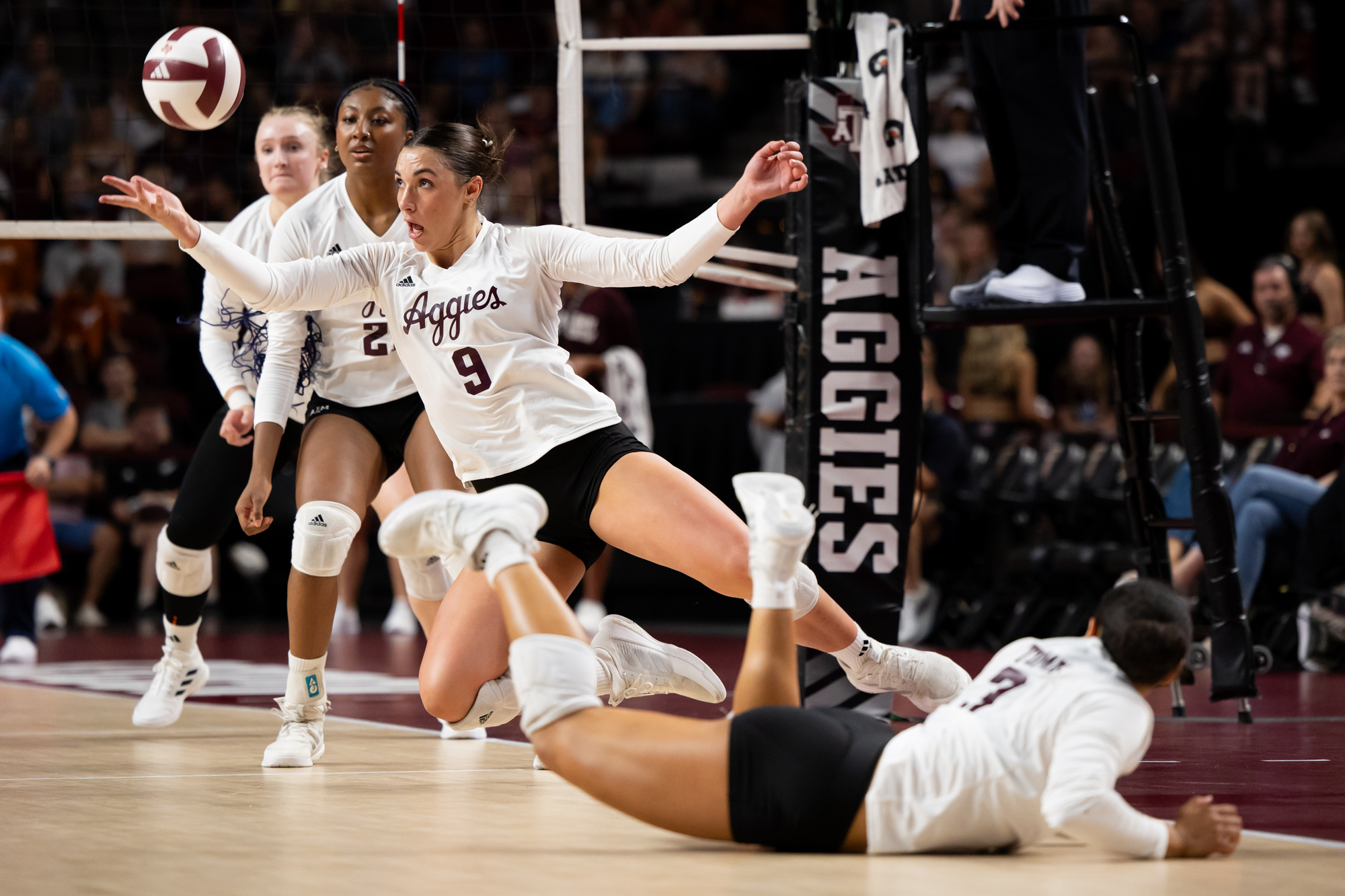 GALLERY: Volleyball vs. Texas