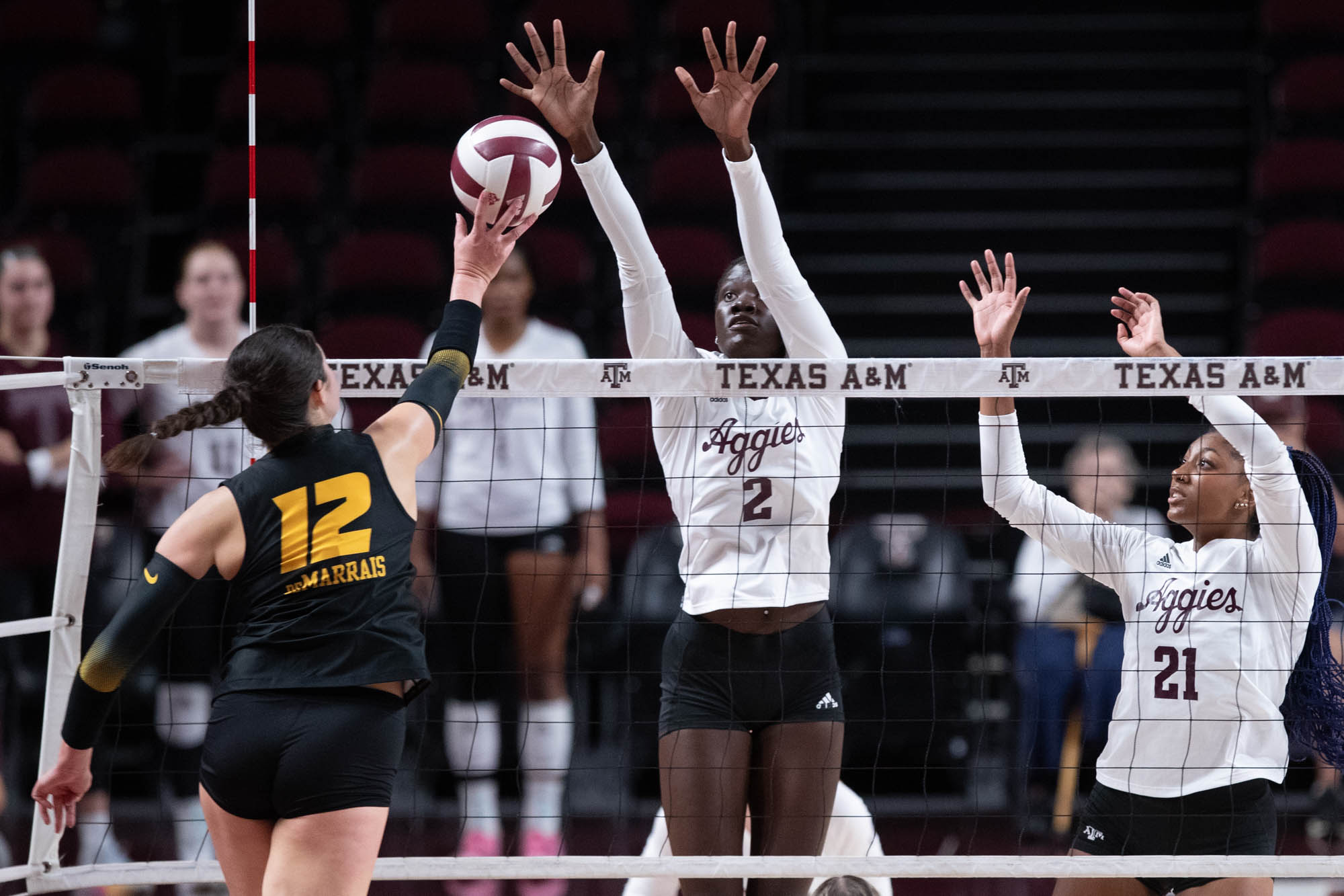 GALLERY: Volleyball vs. Mizzou