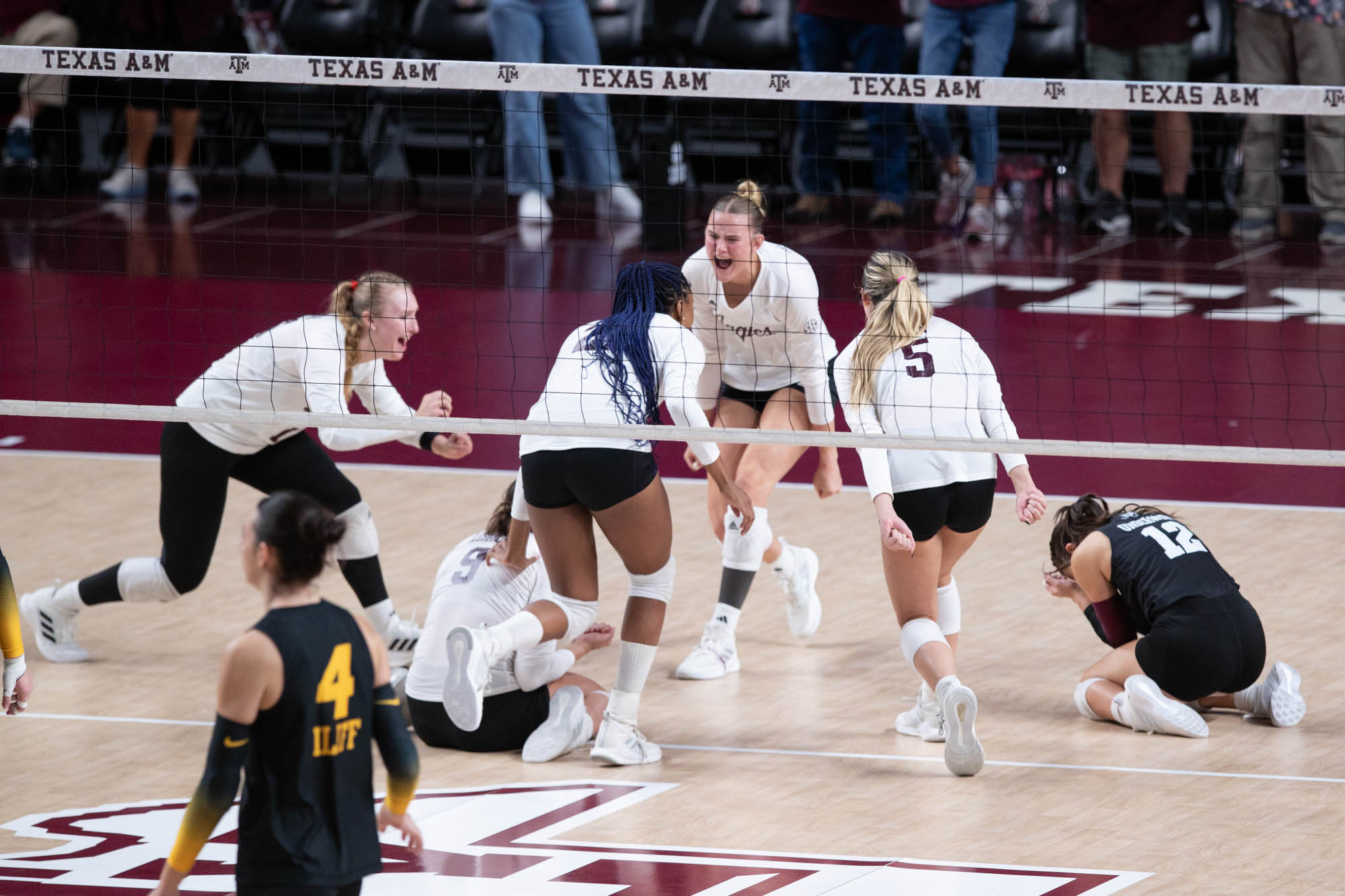 GALLERY: Volleyball vs. Mizzou