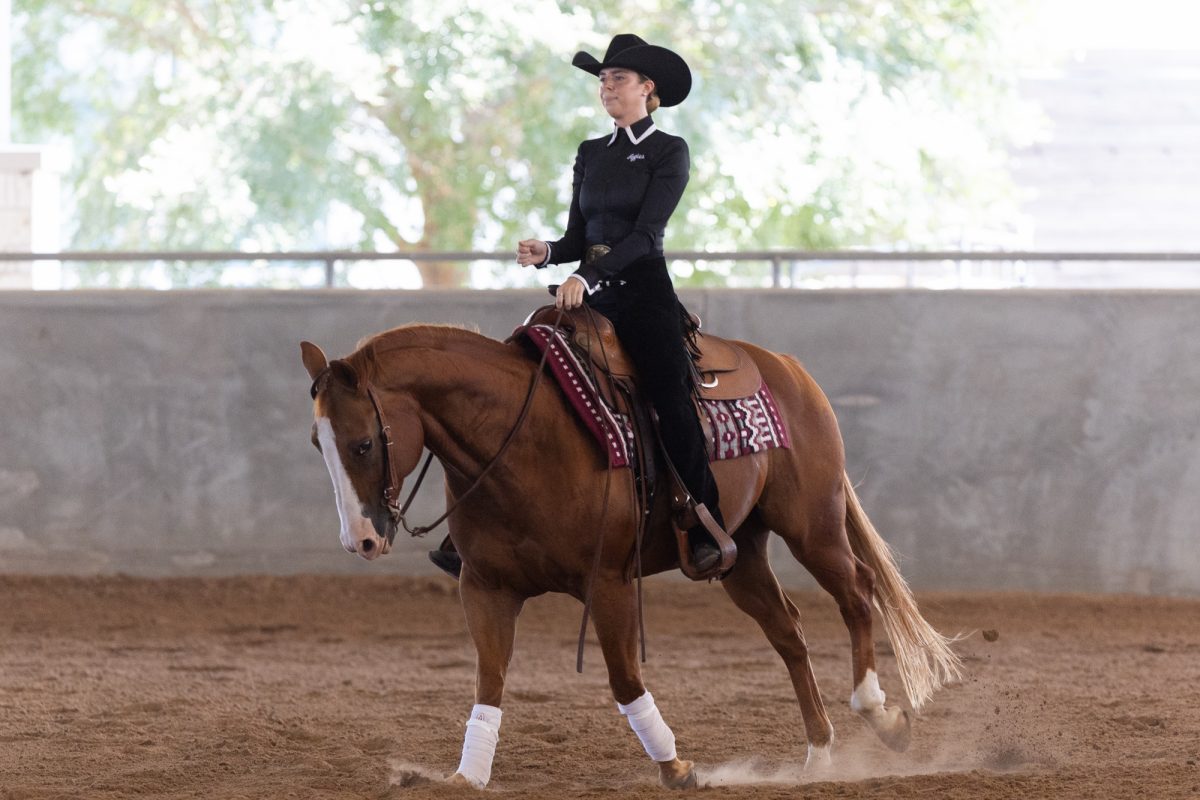 An Aggie rides in the horsemanship portion during Texas A&amp;M’s Maroon and White scrimmage at the Hildebrand Equine Complex on Sunday, Sept. 15, 2024.