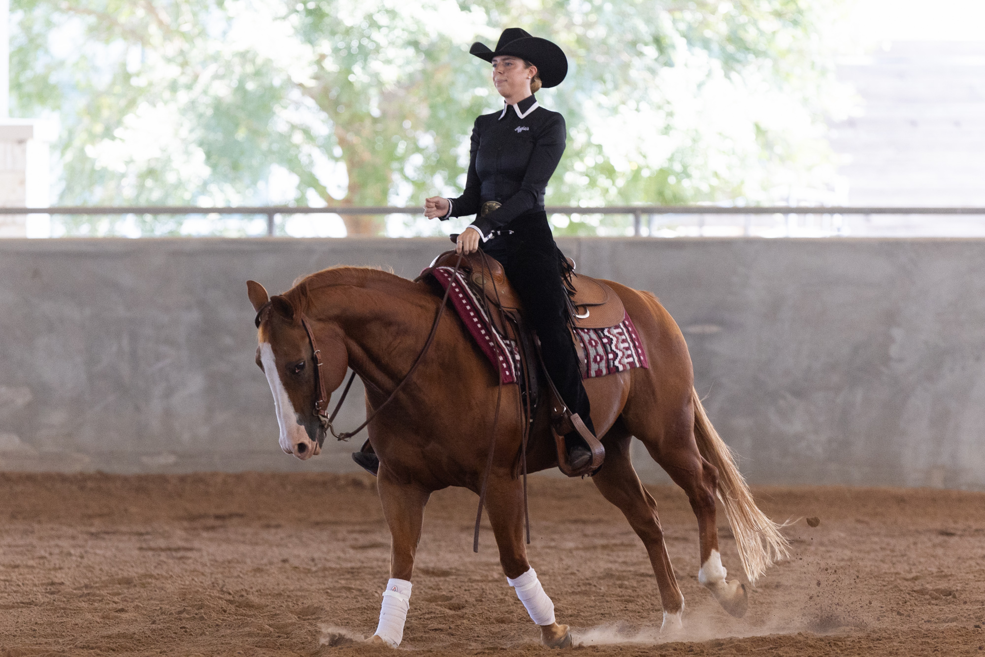 GALLERY: Equestrian Maroon and White Scrimmage