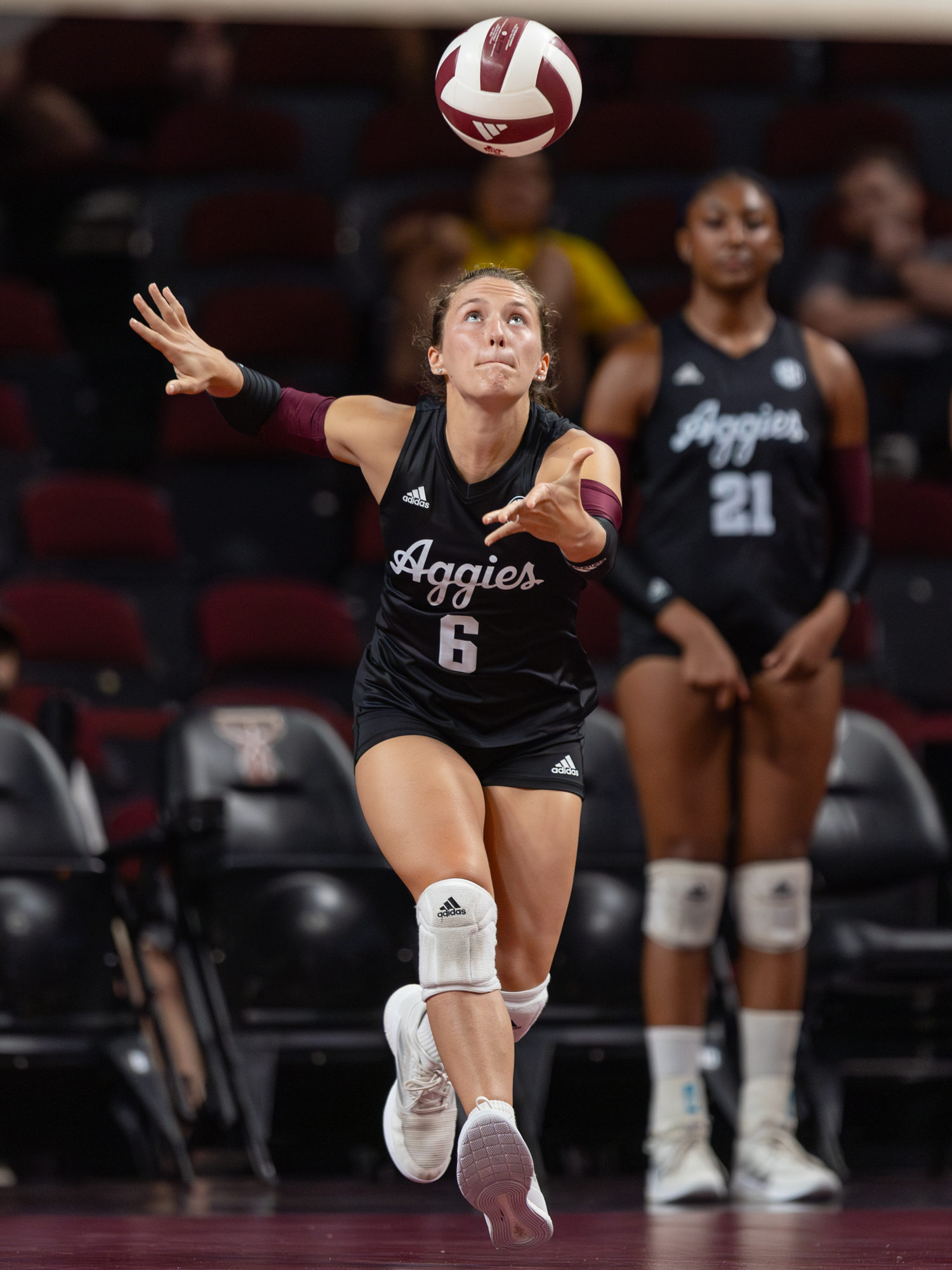 GALLERY: Volleyball vs. Temple