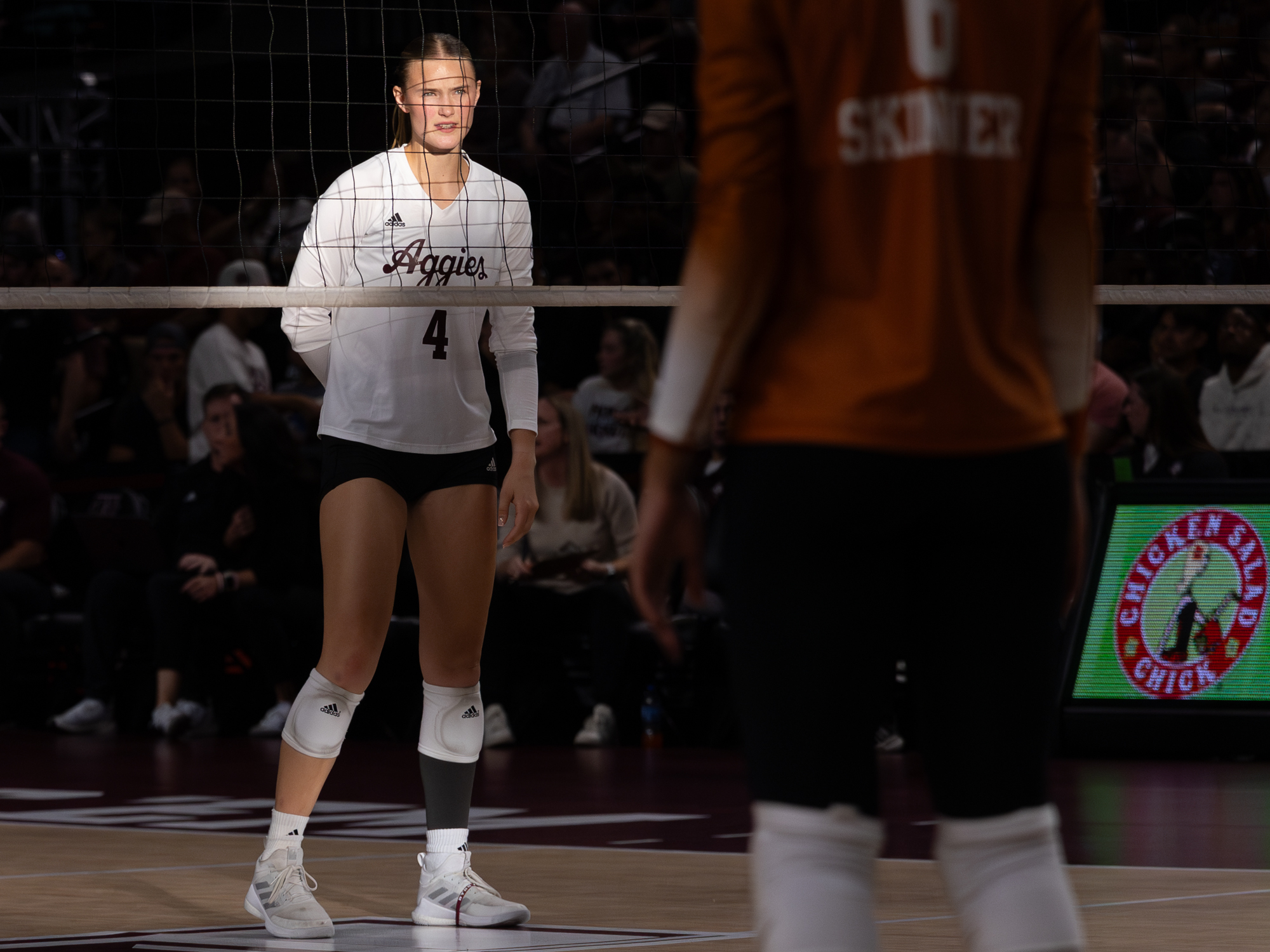 GALLERY: Volleyball vs. Texas