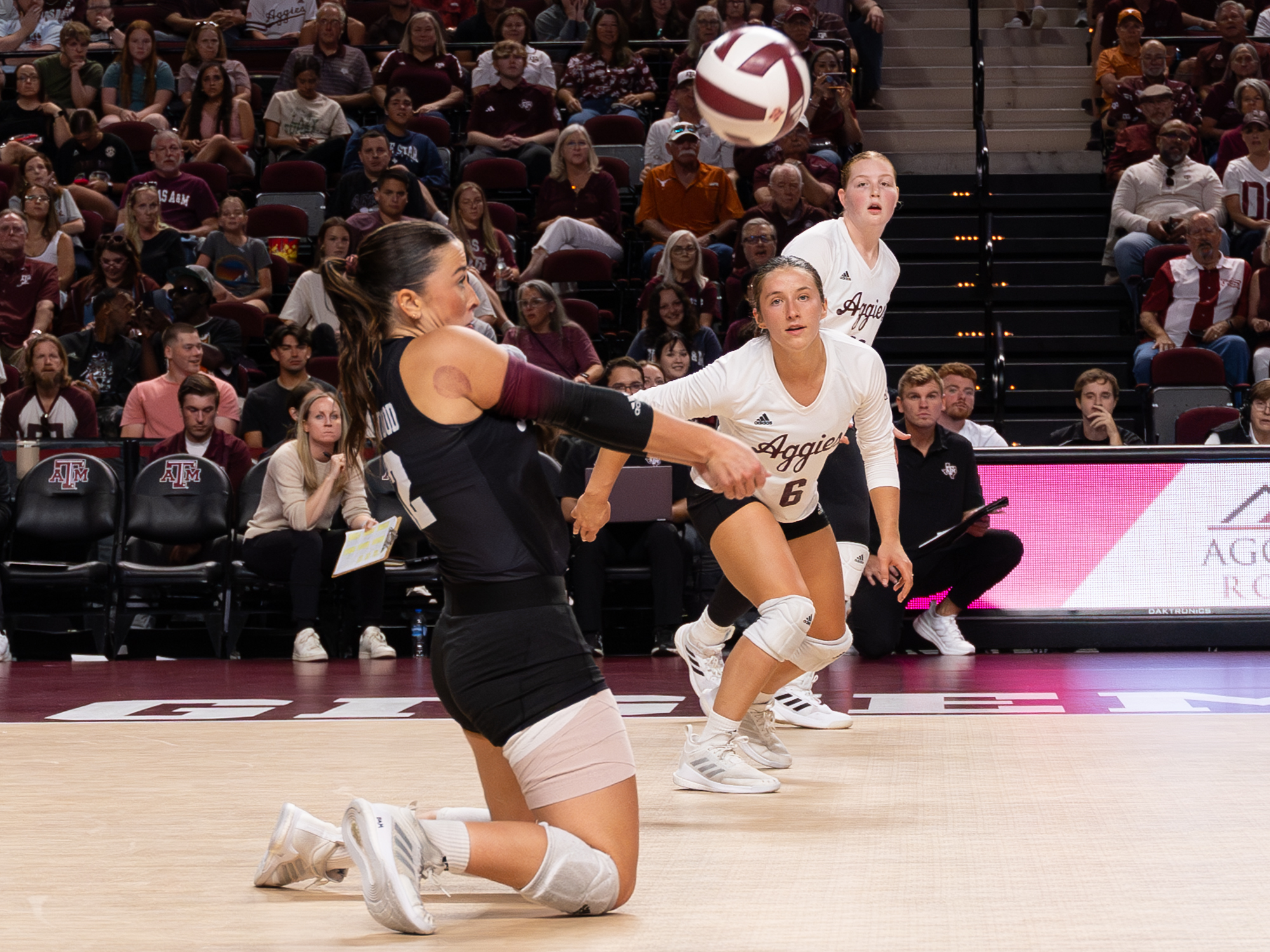 GALLERY: Volleyball vs. Texas