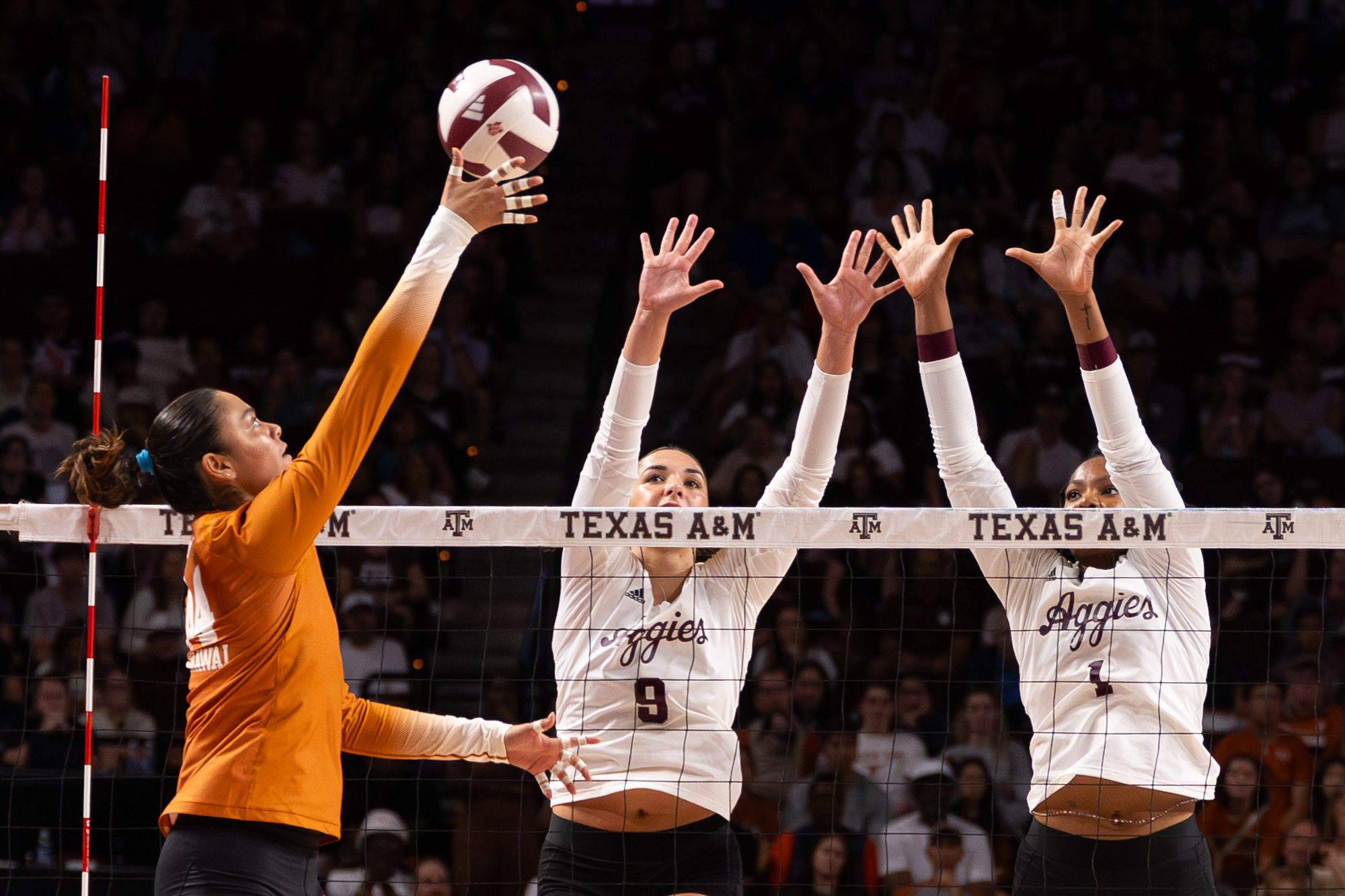 GALLERY: Volleyball vs. Texas