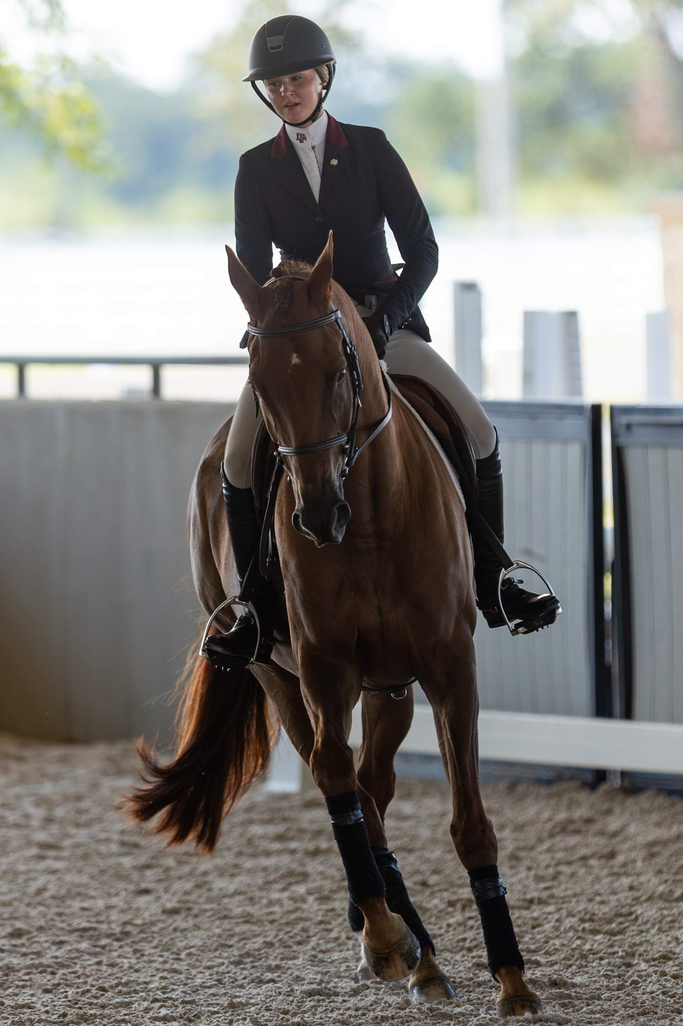 GALLERY: Equestrian Maroon and White Scrimmage