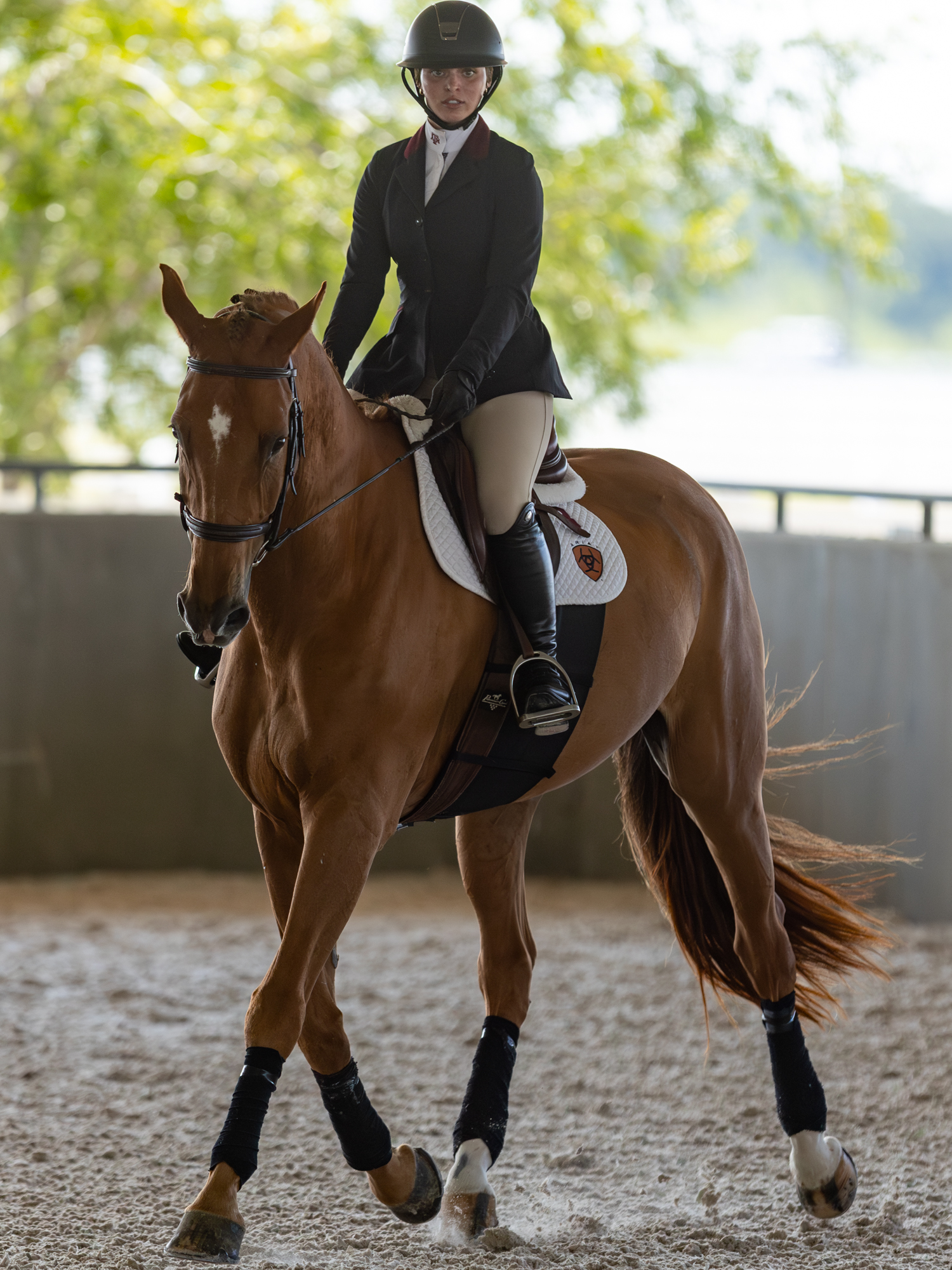 GALLERY: Equestrian Maroon and White Scrimmage