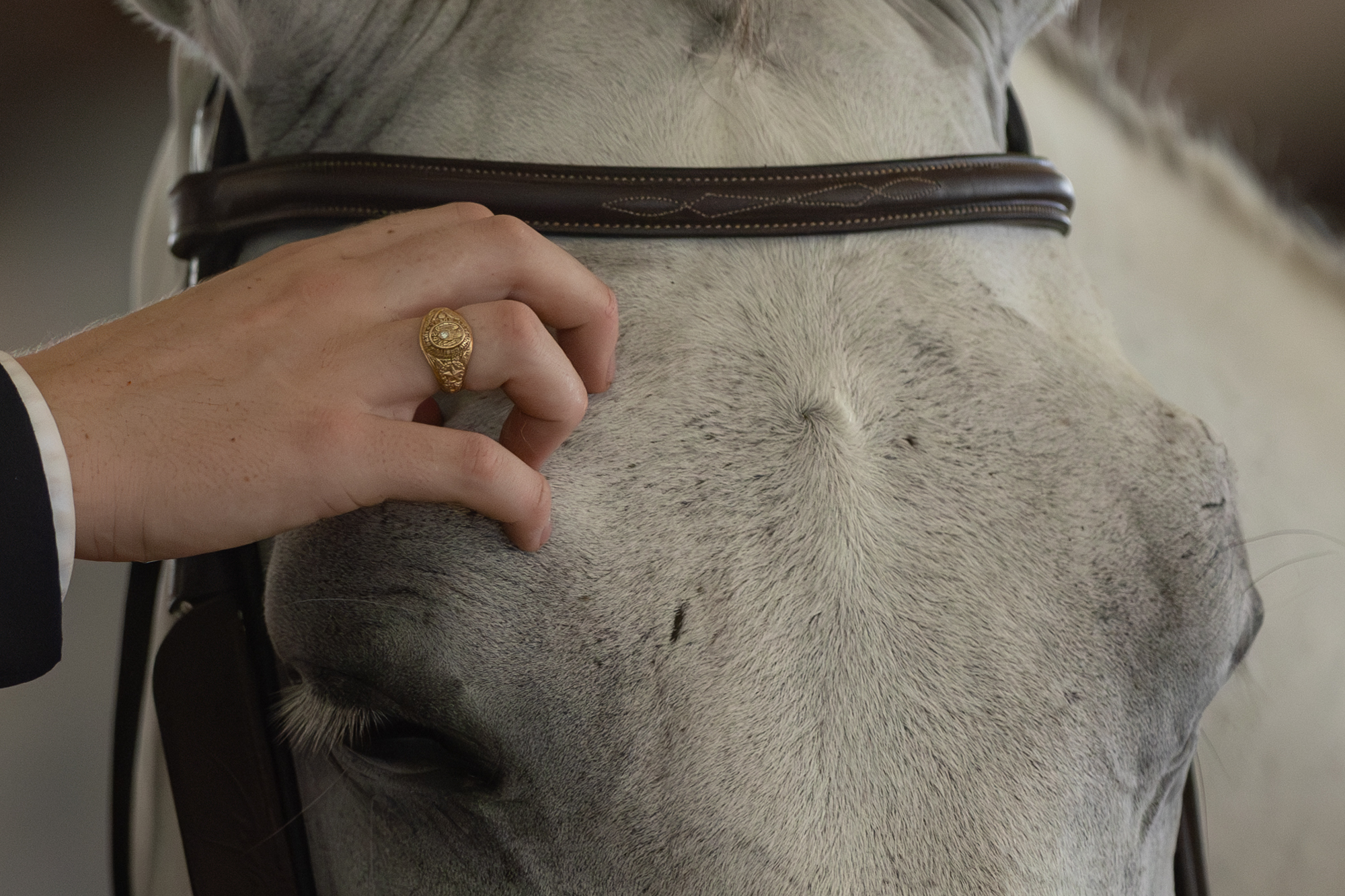 GALLERY: Equestrian Maroon and White Scrimmage