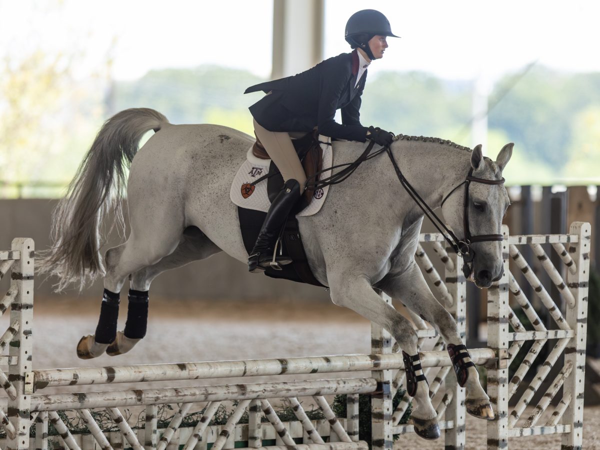 Avery DeYoung performs a jump in the jumping seat portion during Texas A&amp;M’s maroon and white scrimmage at the Hildebrand Equine Complex on Sunday, September 15, 2024. (Hannah Harrison/The Battalion)