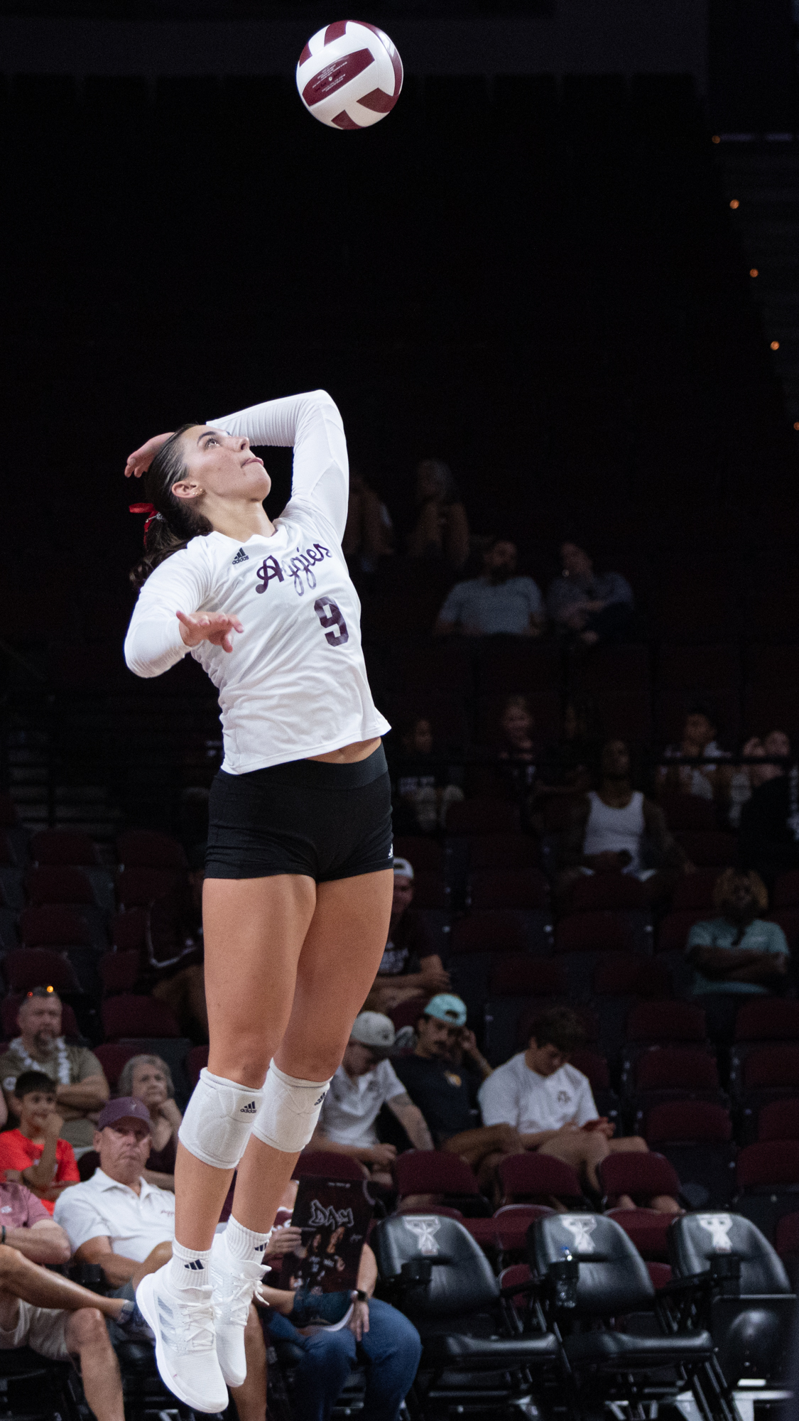 GALLERY: Volleyball vs. Texas A&M Corpus Christi