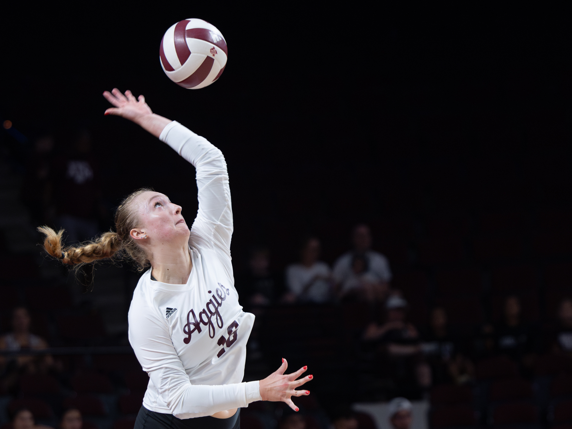 GALLERY: Volleyball vs. Texas A&M Corpus Christi