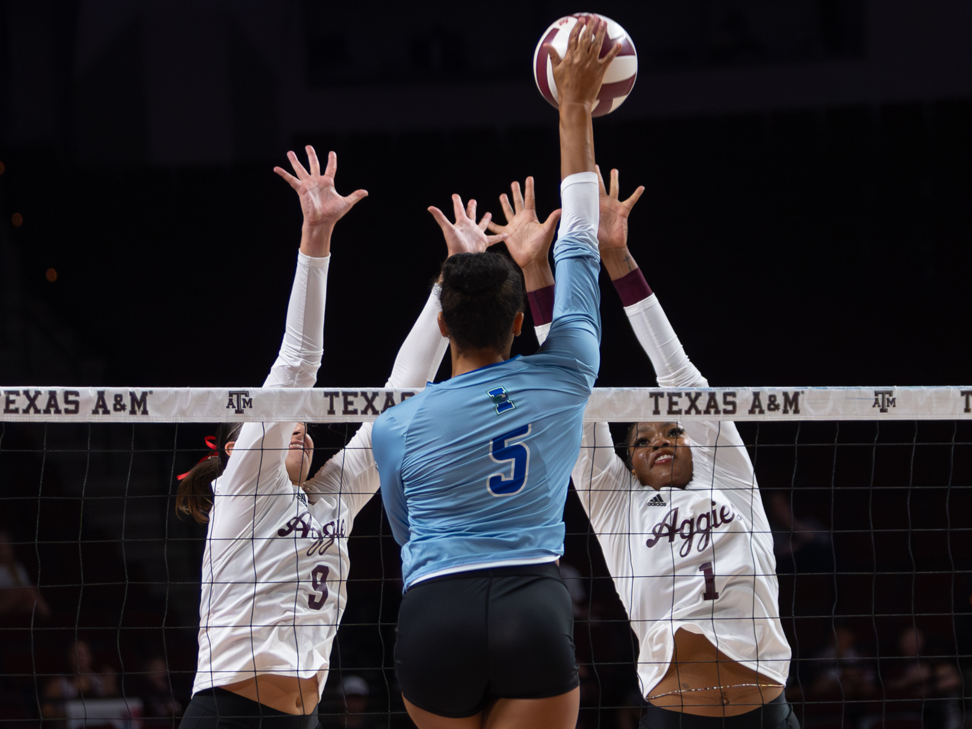 GALLERY: Volleyball vs. Texas A&M Corpus Christi