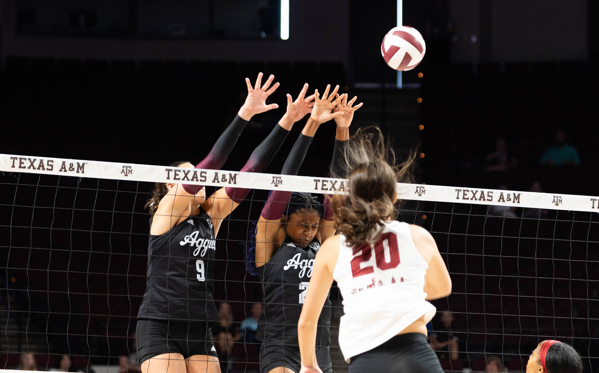 GALLERY: Volleyball vs. Temple