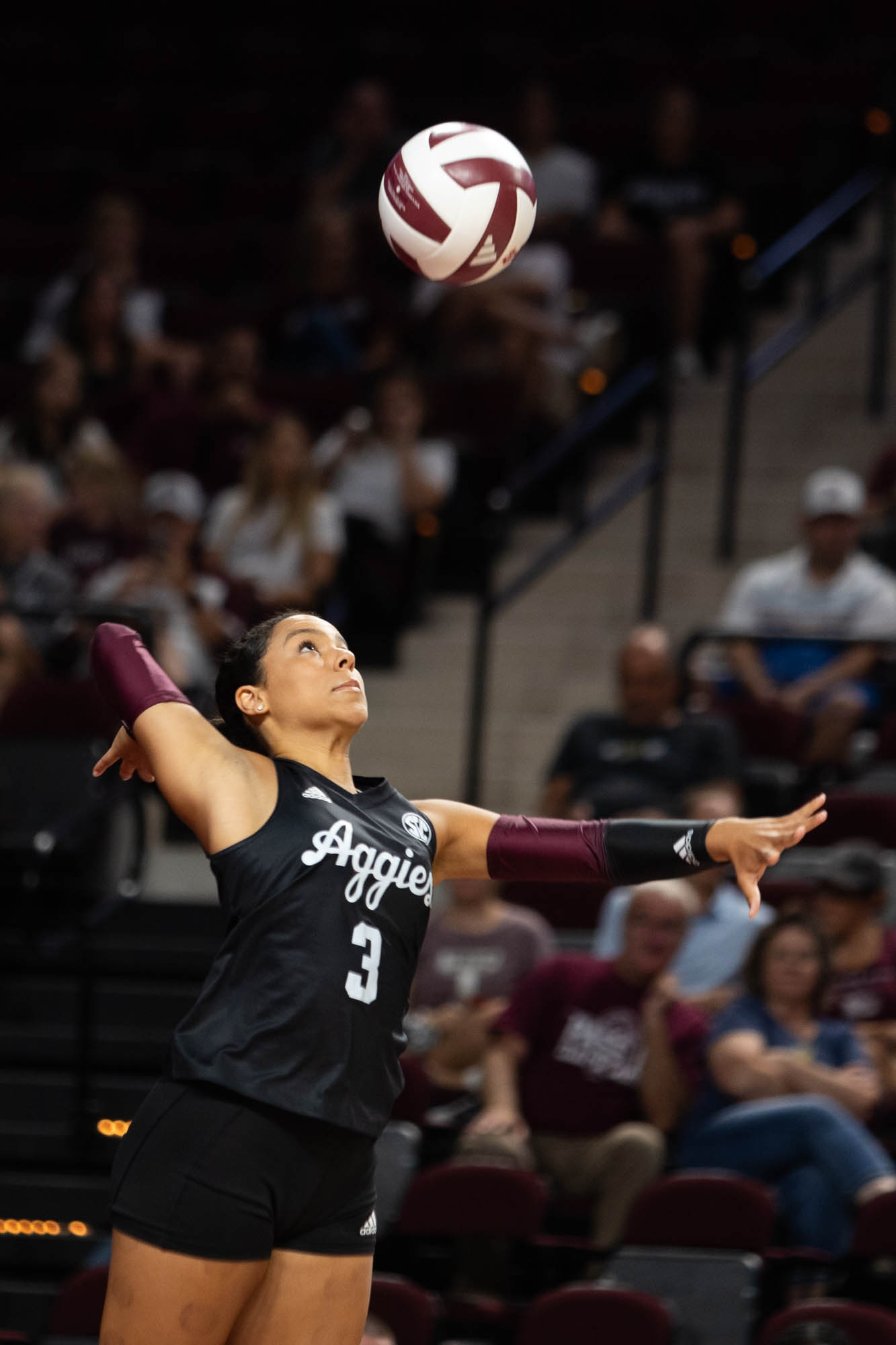 GALLERY: Volleyball vs. Temple