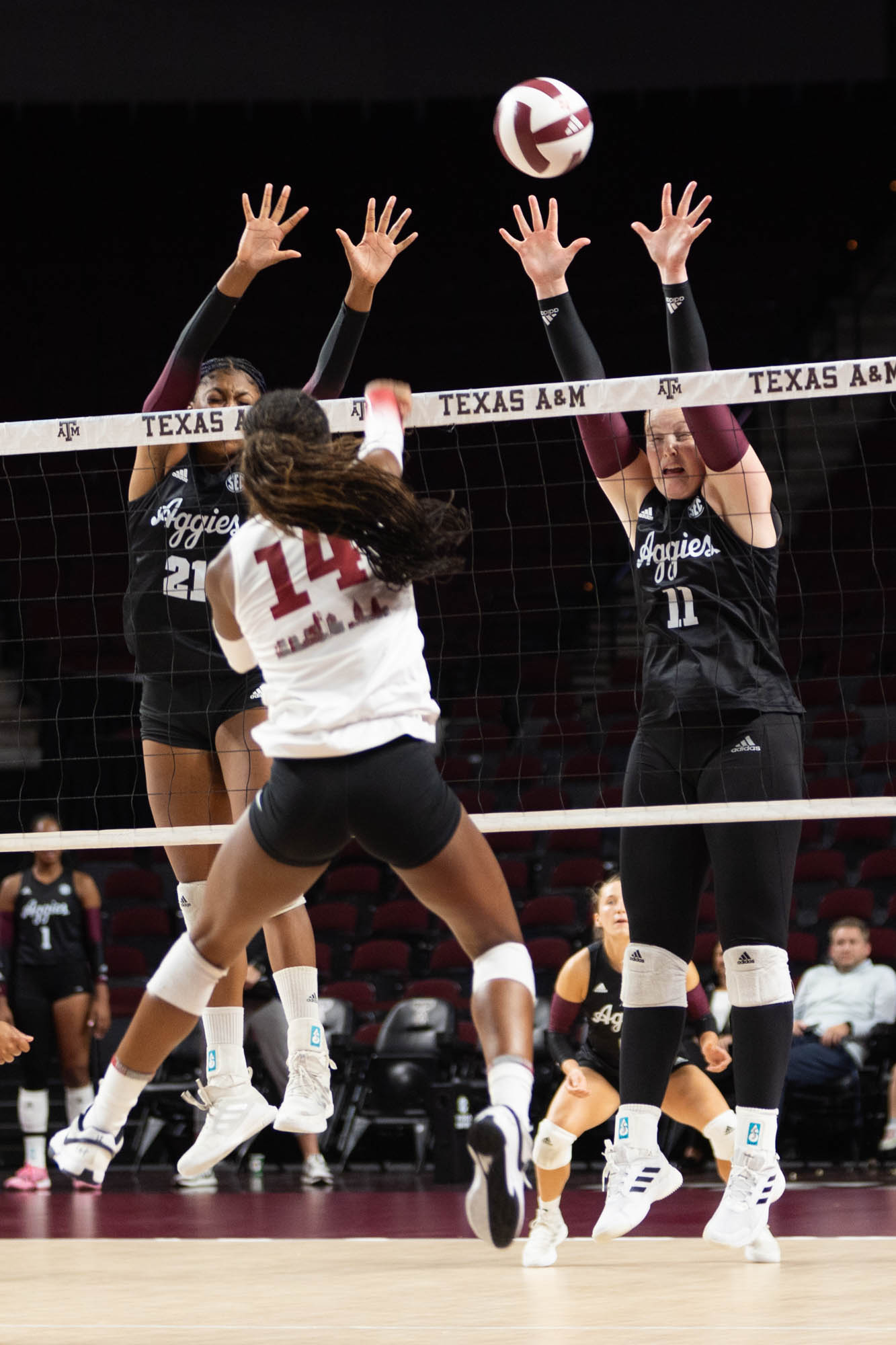 GALLERY: Volleyball vs. Temple