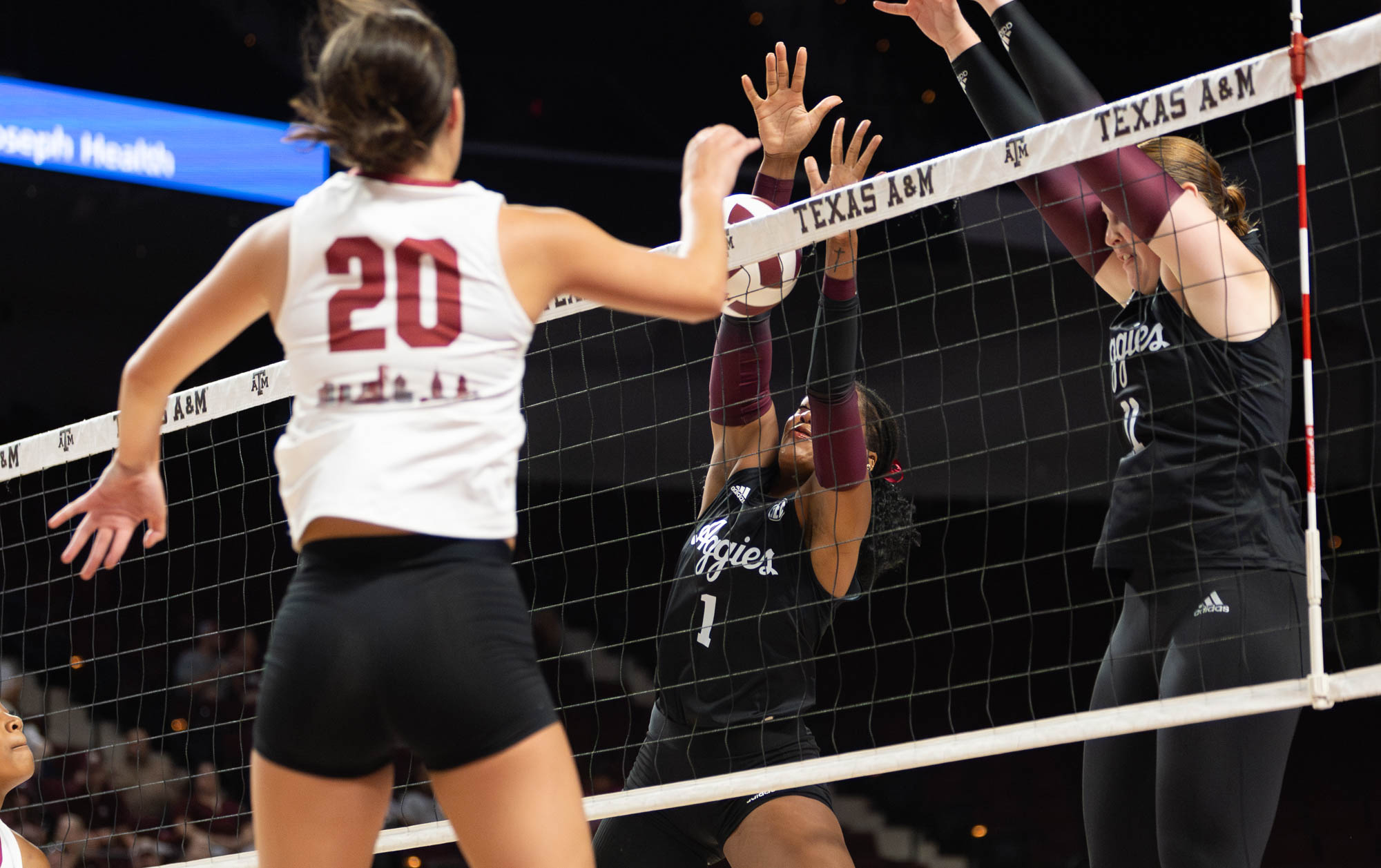 Gallery: Texas A&M vs. Temple