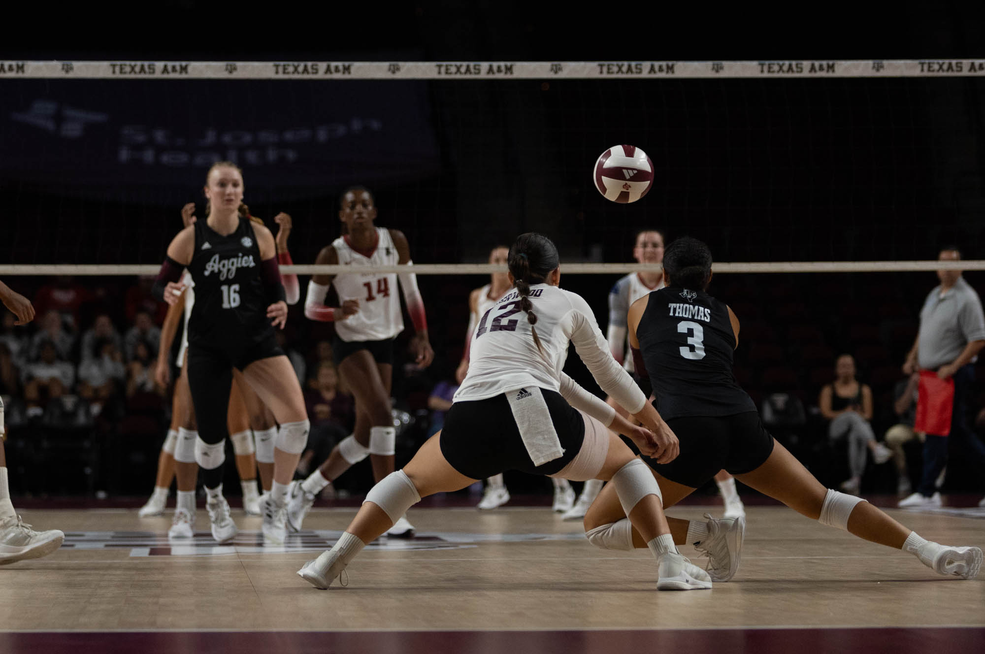 GALLERY: Volleyball vs. Temple