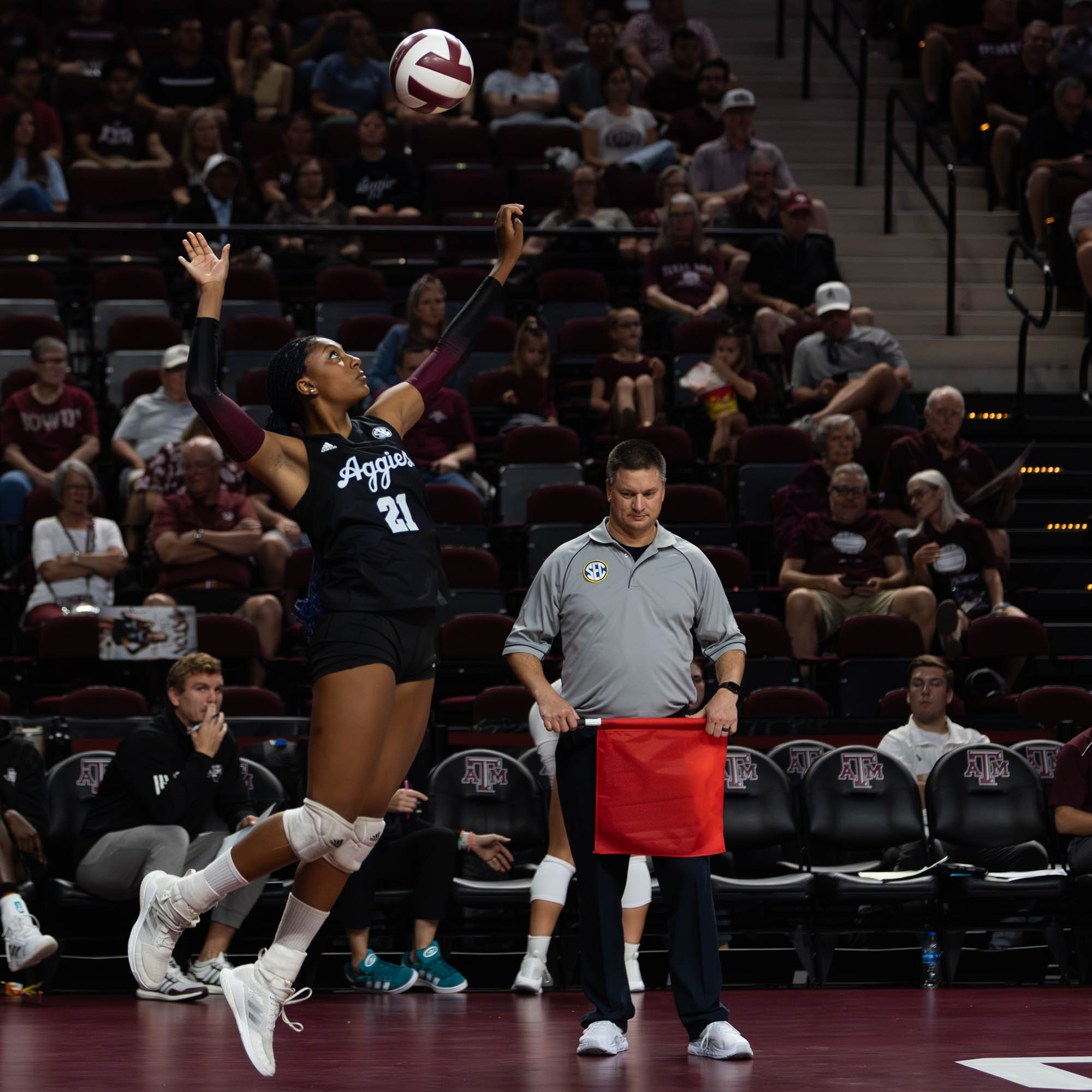 GALLERY: Volleyball vs. Temple