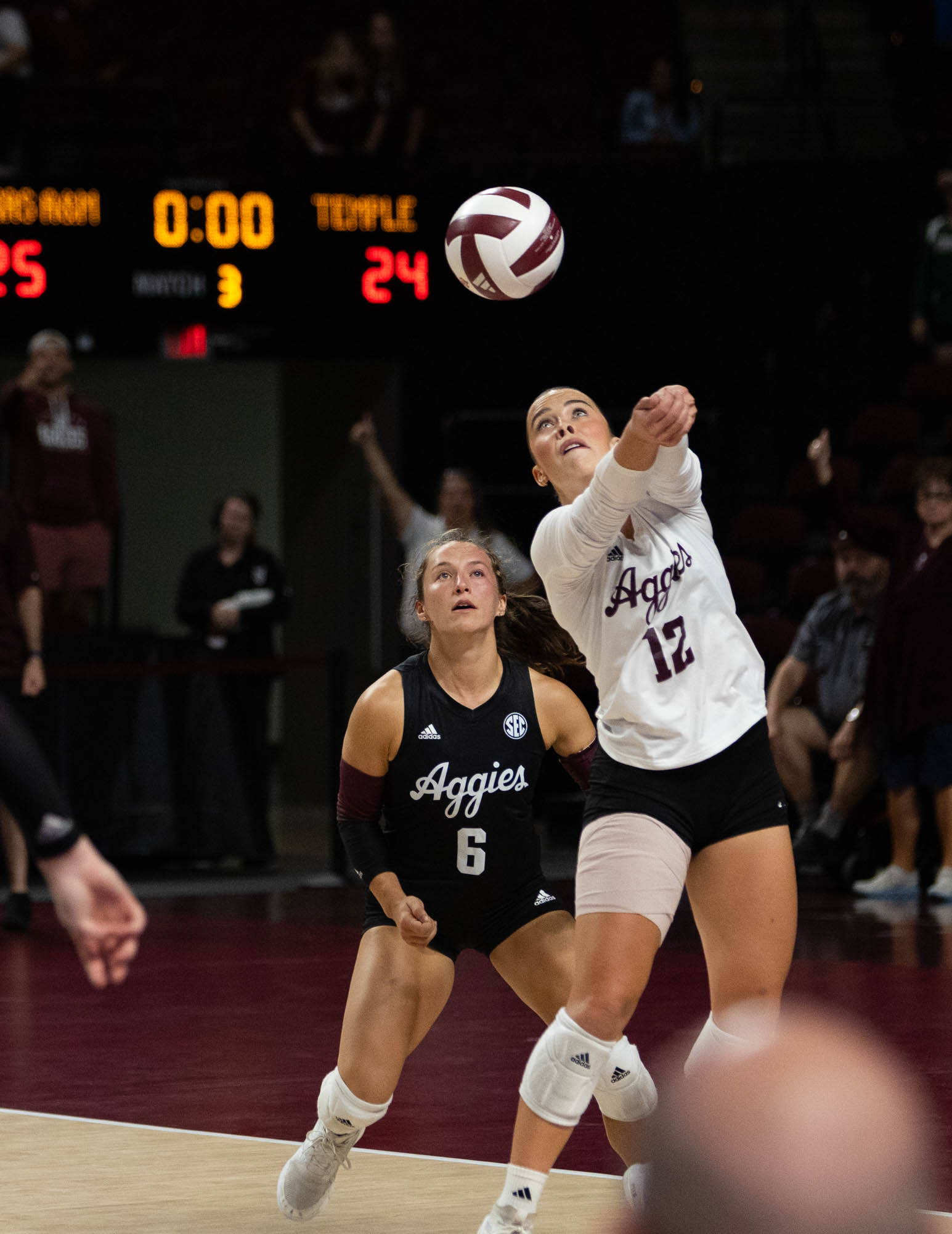 GALLERY: Volleyball vs. Temple